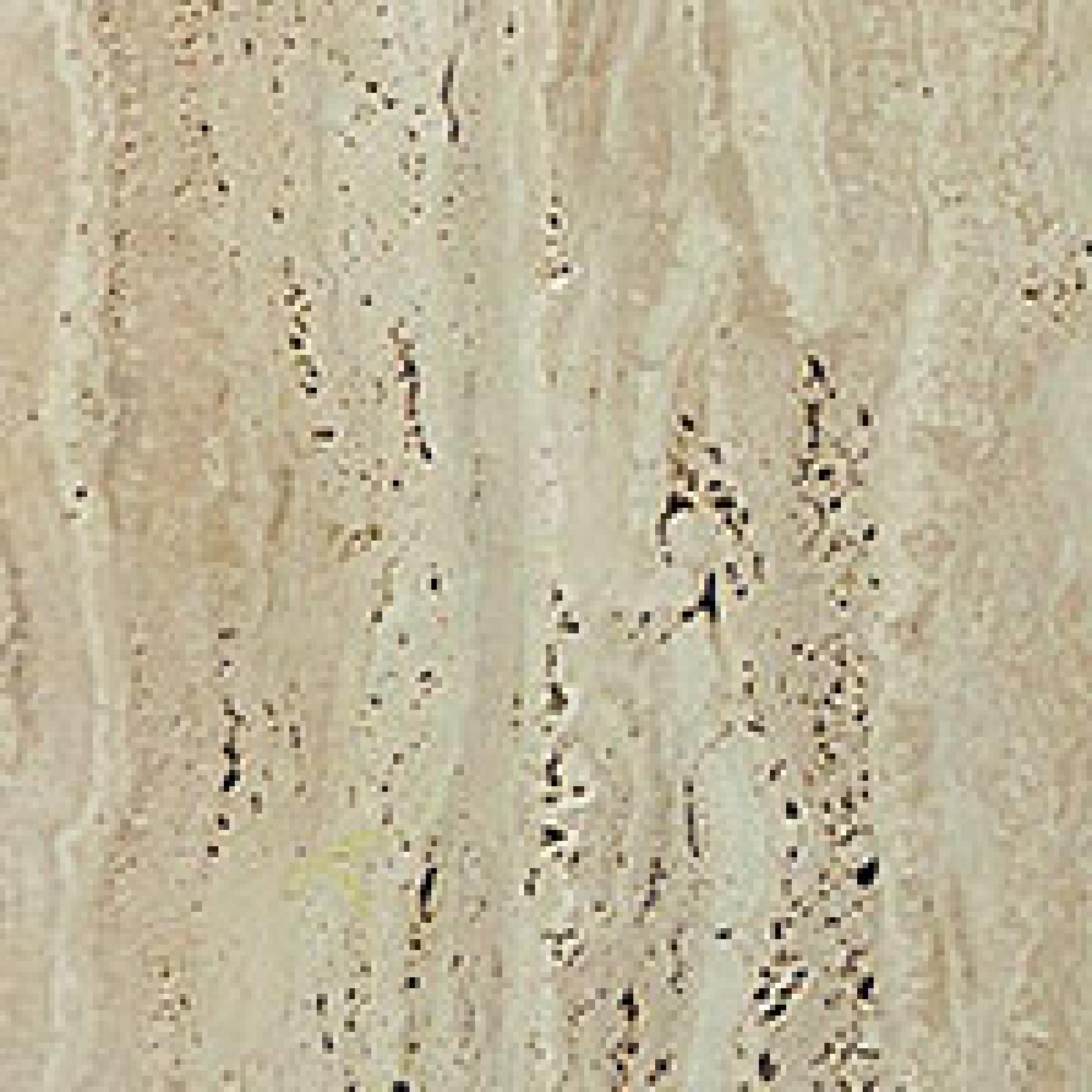 TG : Unfilled/ Unpolished Travertine