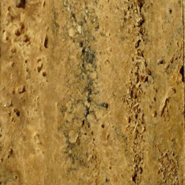 WTG : Unfilled/ Unpolished Walnut Travertine