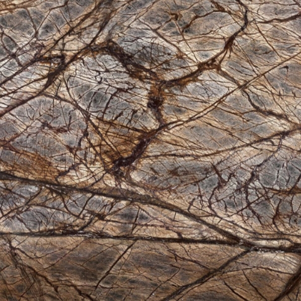 FB : Forest Brunello