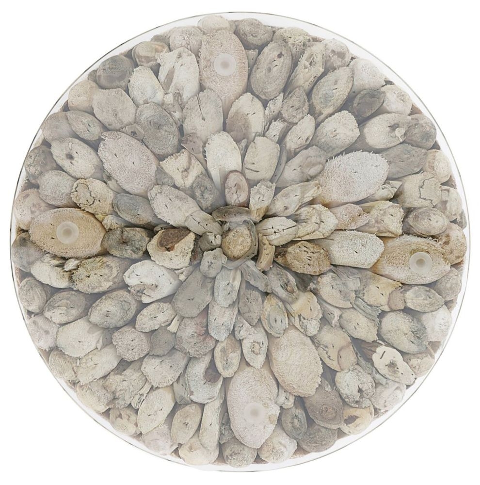 Driftwood Round Tall Lamp Table - Glass Top