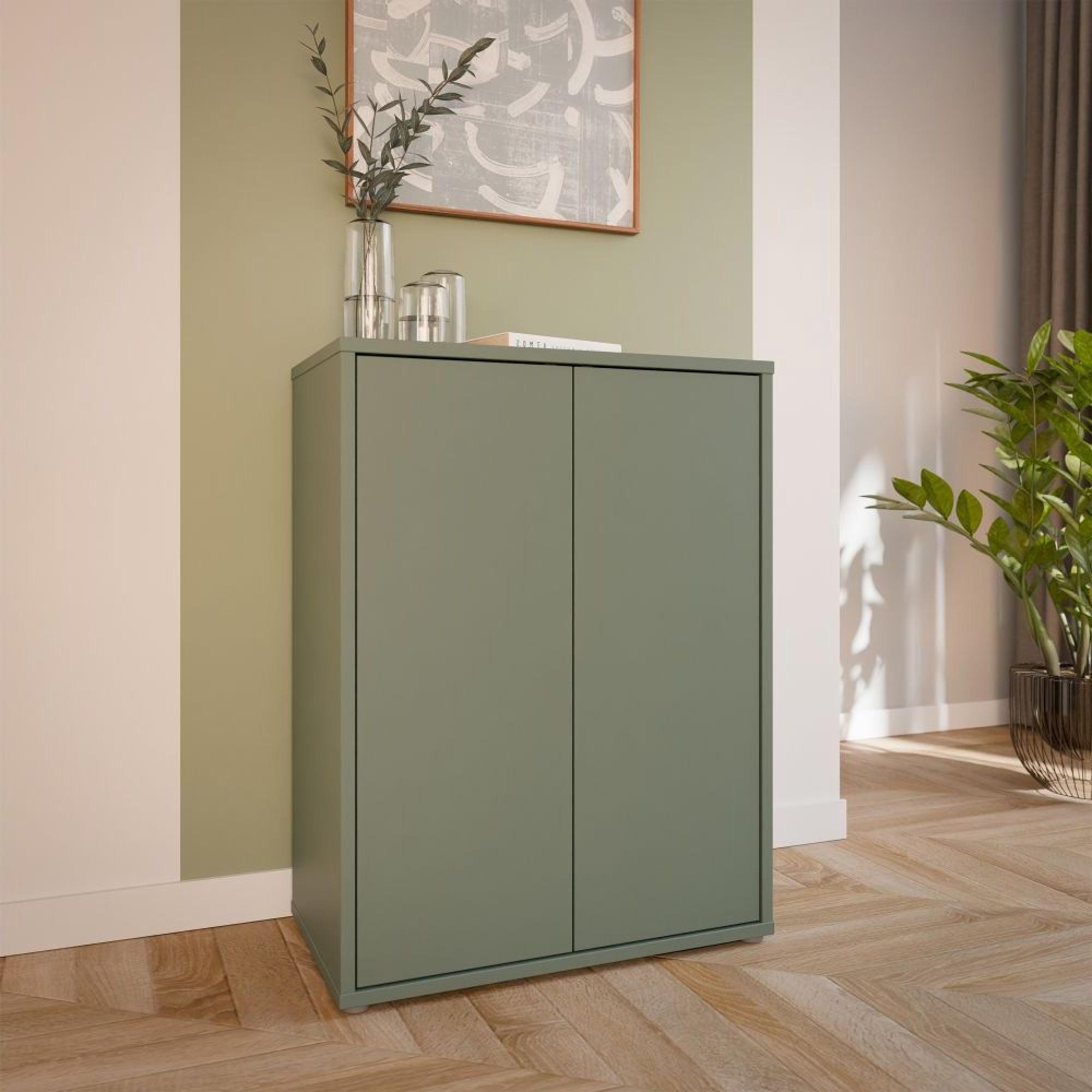Alice Springs Cupboard - 2 Door - Sage Green