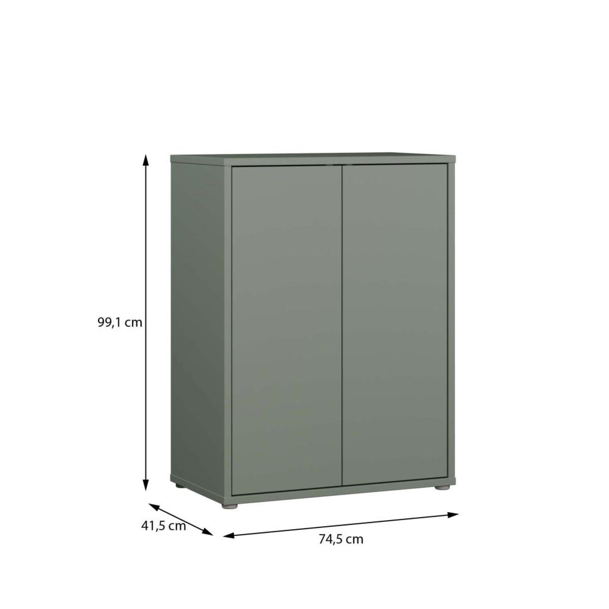 Alice Springs Cupboard - 2 Door - Sage Green