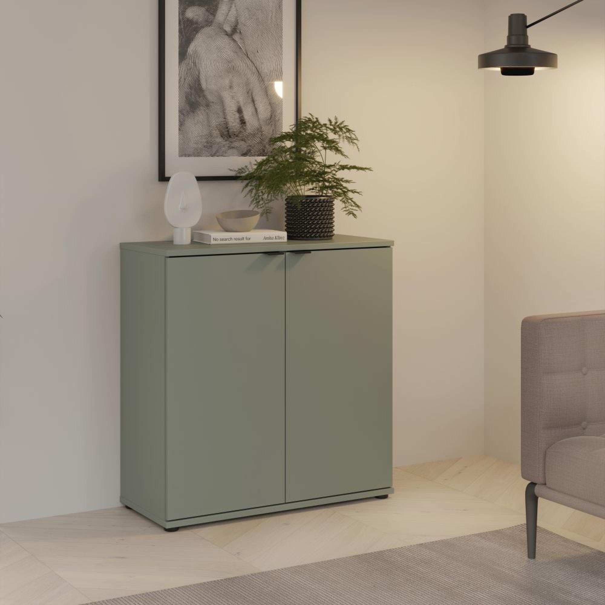 Ganymede Hall Cabinet - 2 Door - Sage Green