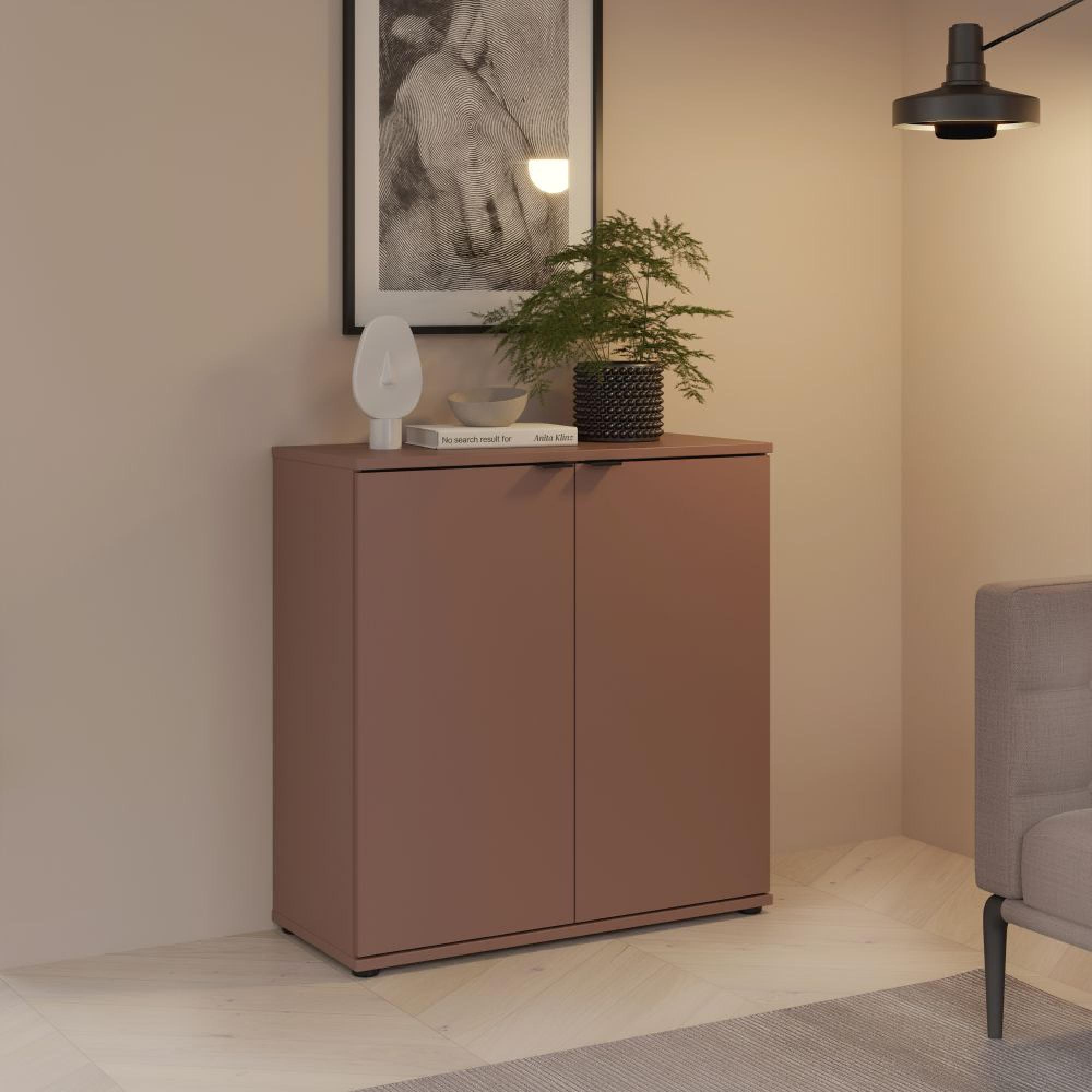 Ganymede Hall Cabinet - 2 Door - Terracotta