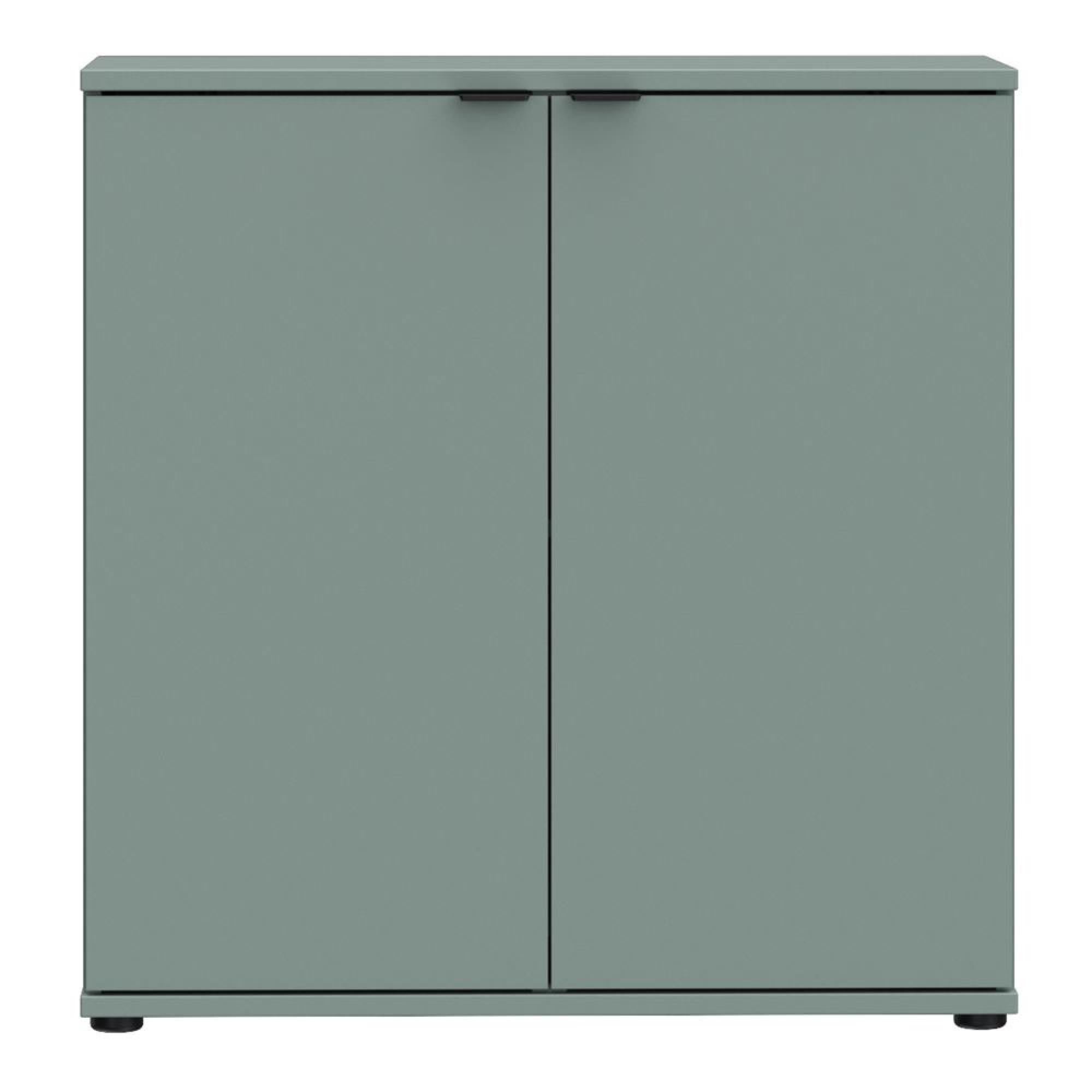Ganymede Hall Cabinet - 2 Door - Sage Green