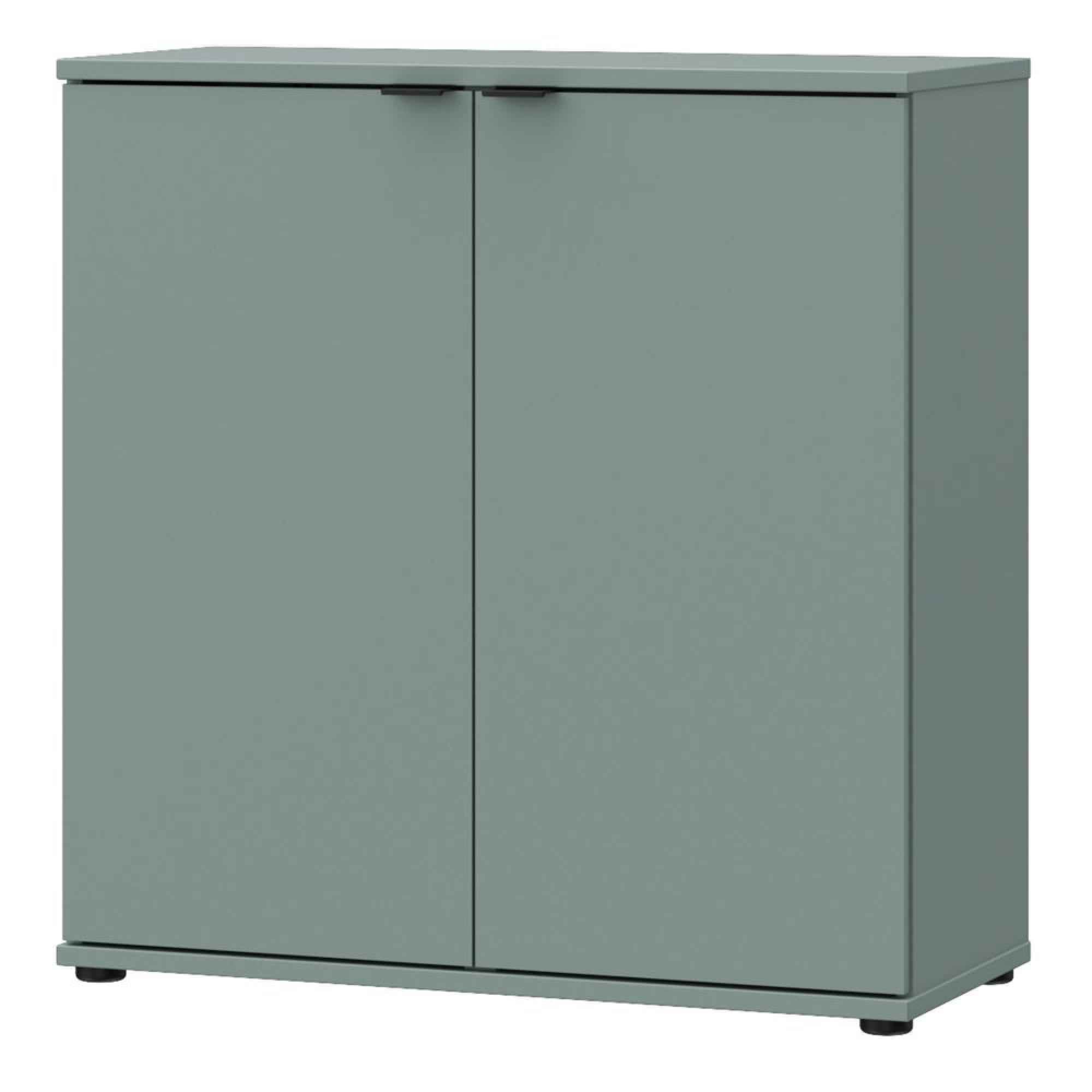Ganymede Hall Cabinet - 2 Door - Sage Green