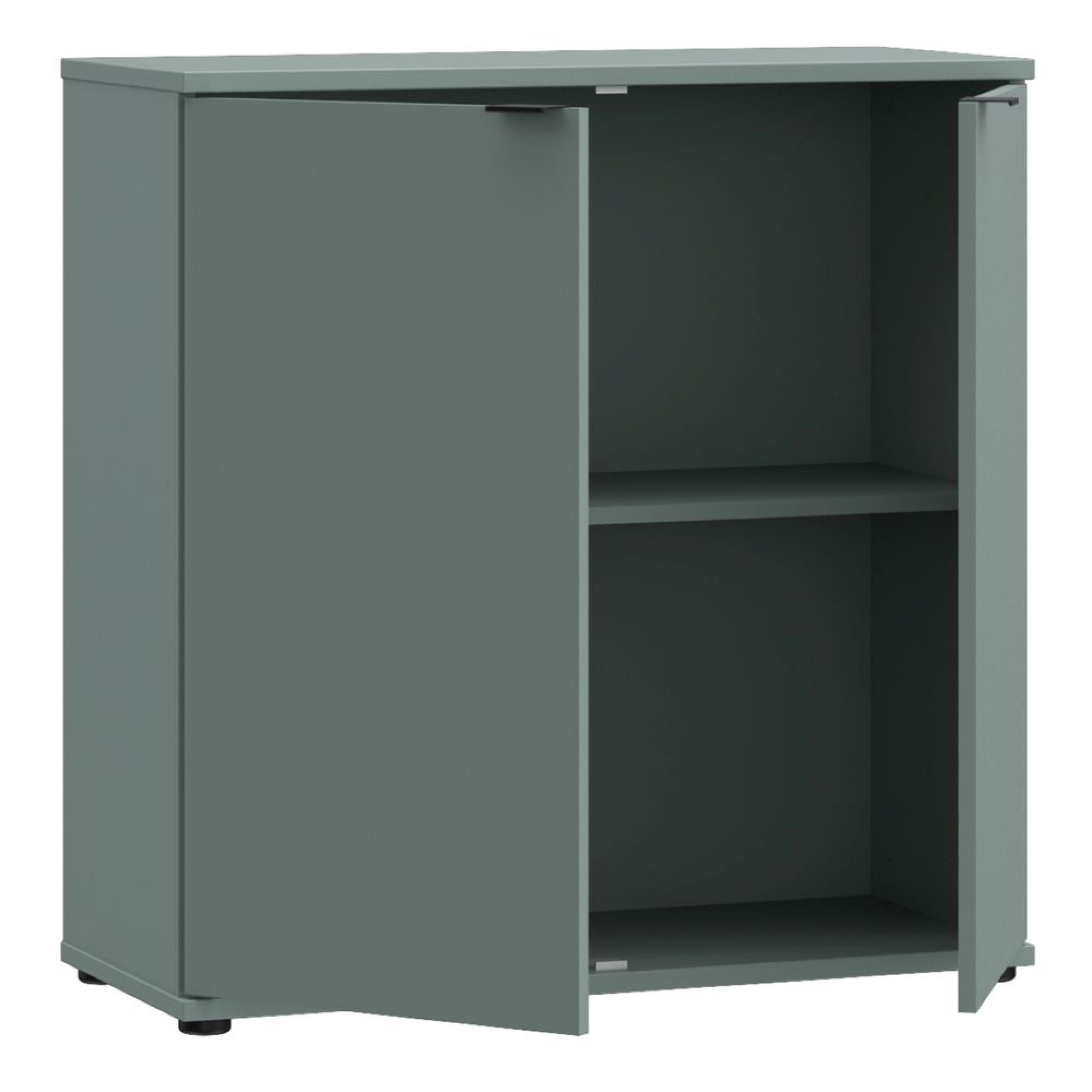 Ganymede Hall Cabinet - 2 Door - Sage Green