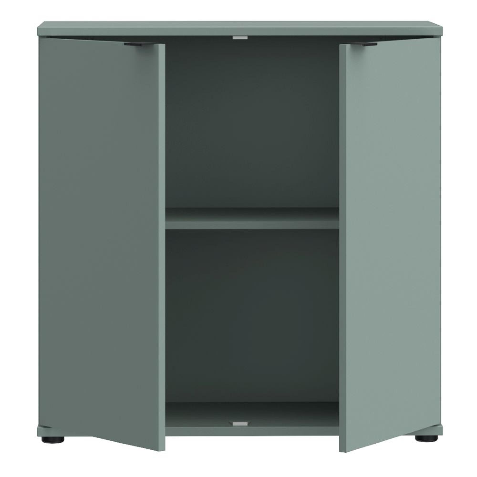 Ganymede Hall Cabinet - 2 Door - Sage Green