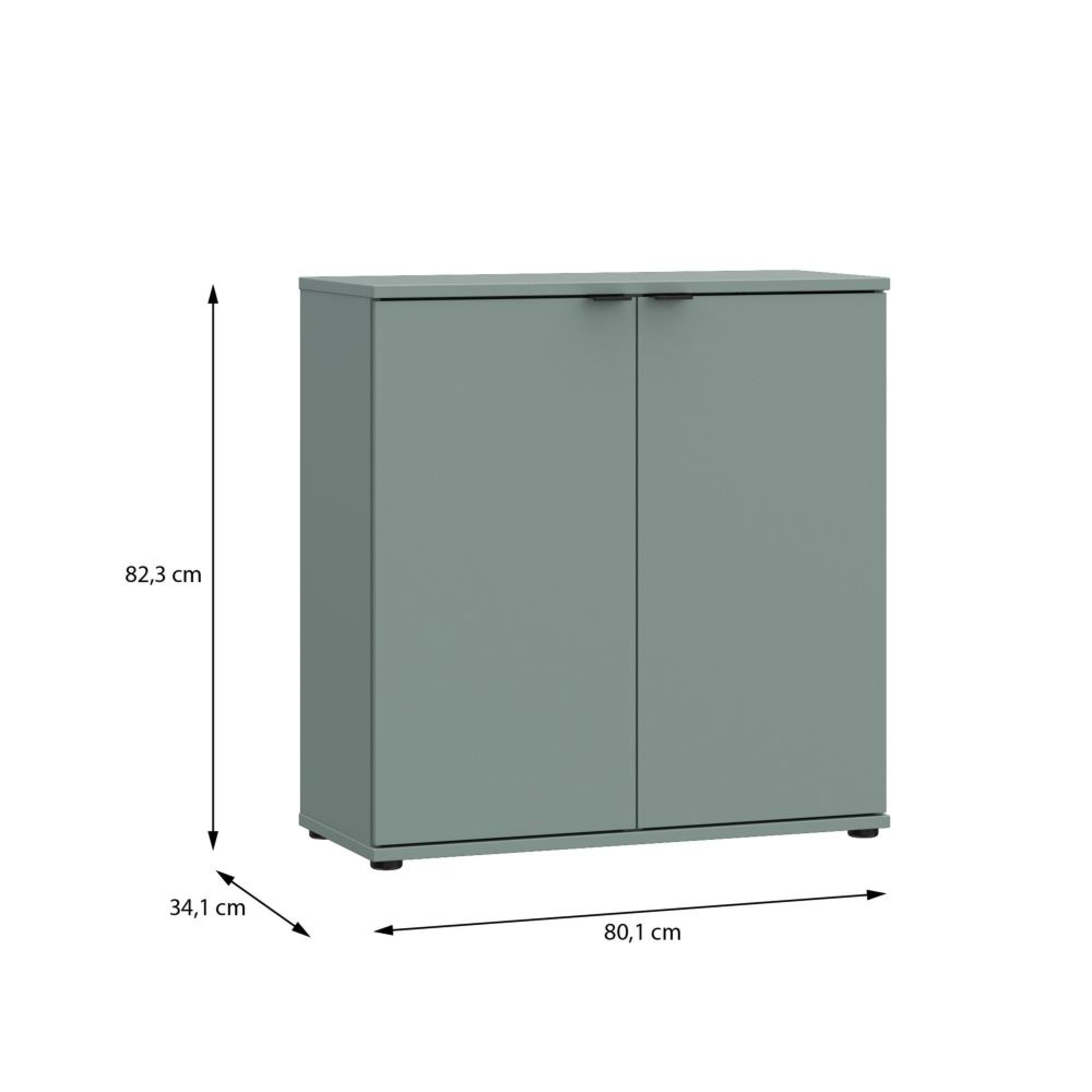 Ganymede Hall Cabinet - 2 Door - Sage Green