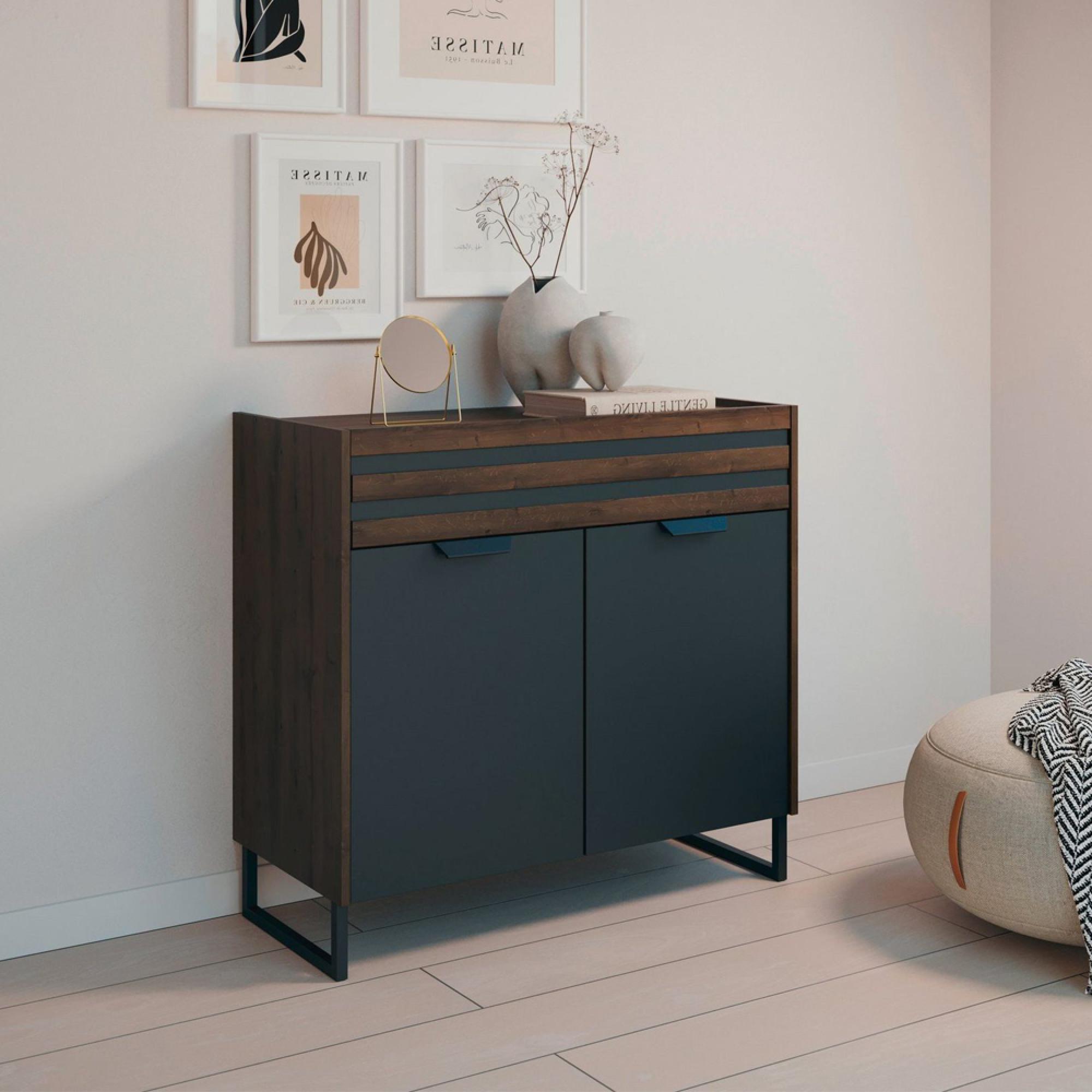 Rauch Barea 2 Door Chest - Metallic Grey and Atlantic Dark Oak