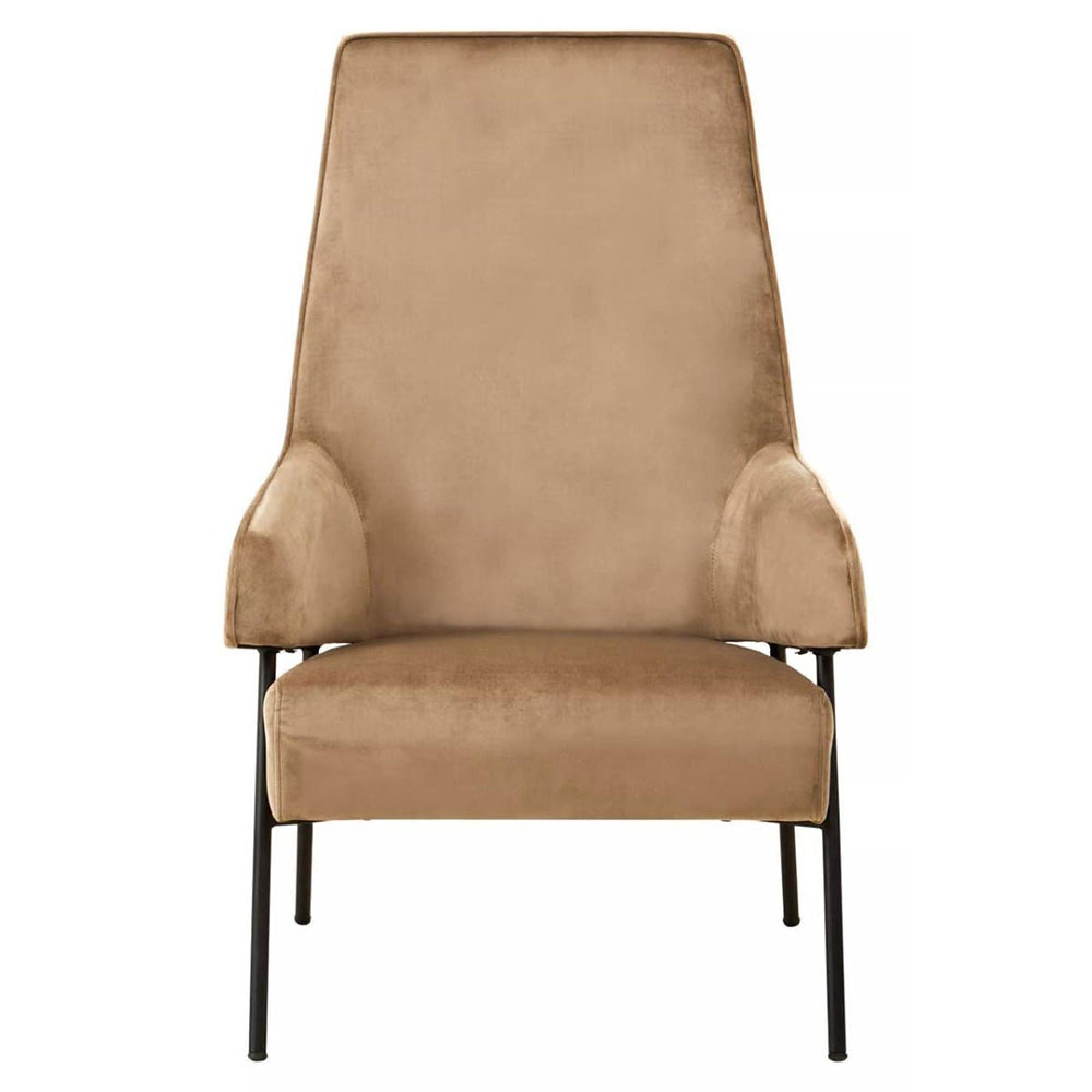 Henia Mink Velvet Fabric Armchair