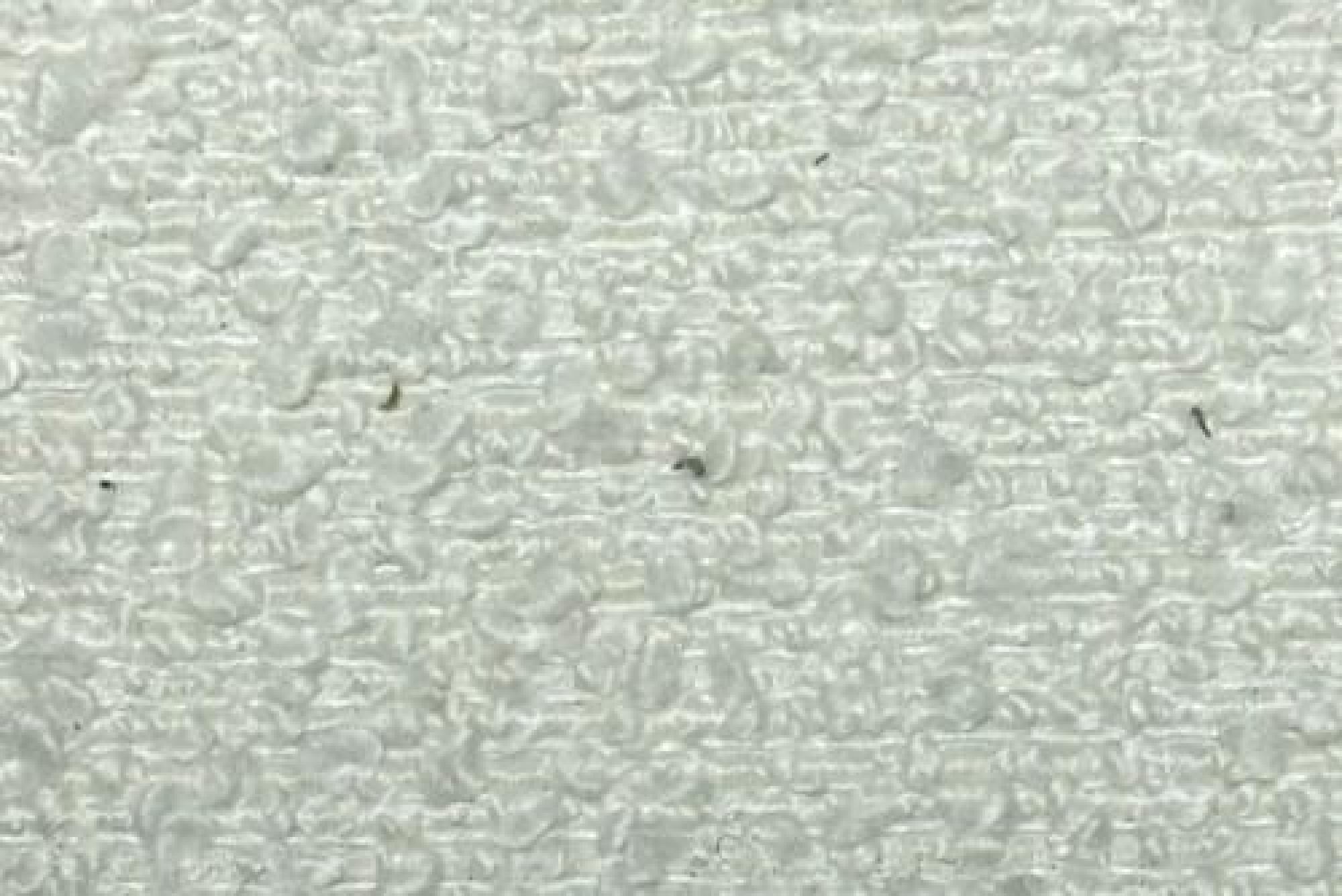 Band Plain : Berlin Ivory