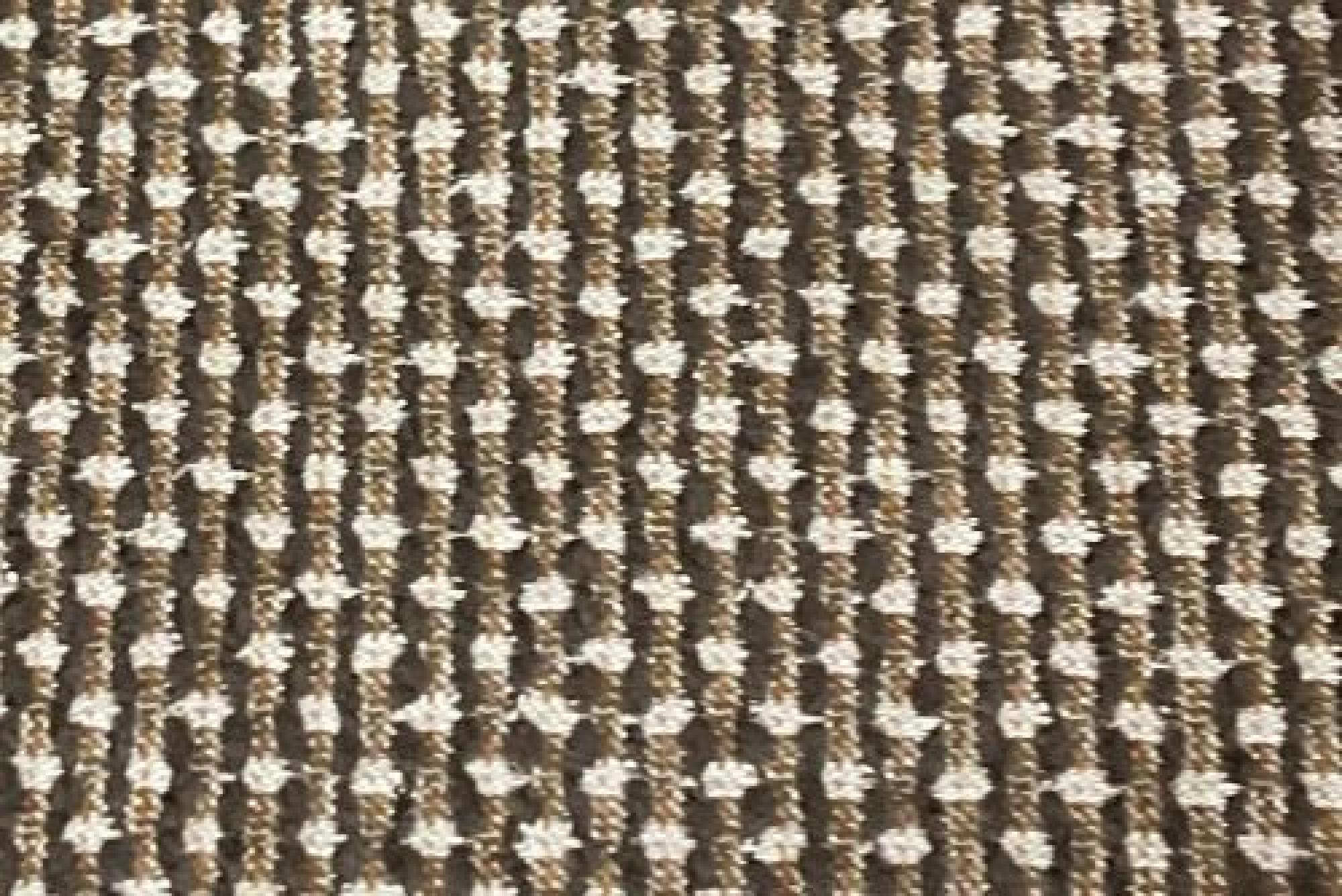 Band Deluxe : Angus Cocoa