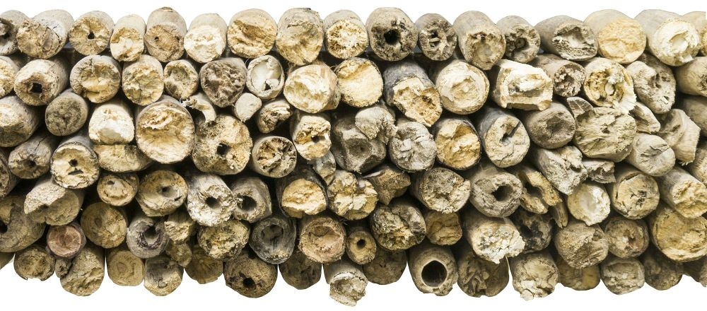 Driftwood Wall Mirror