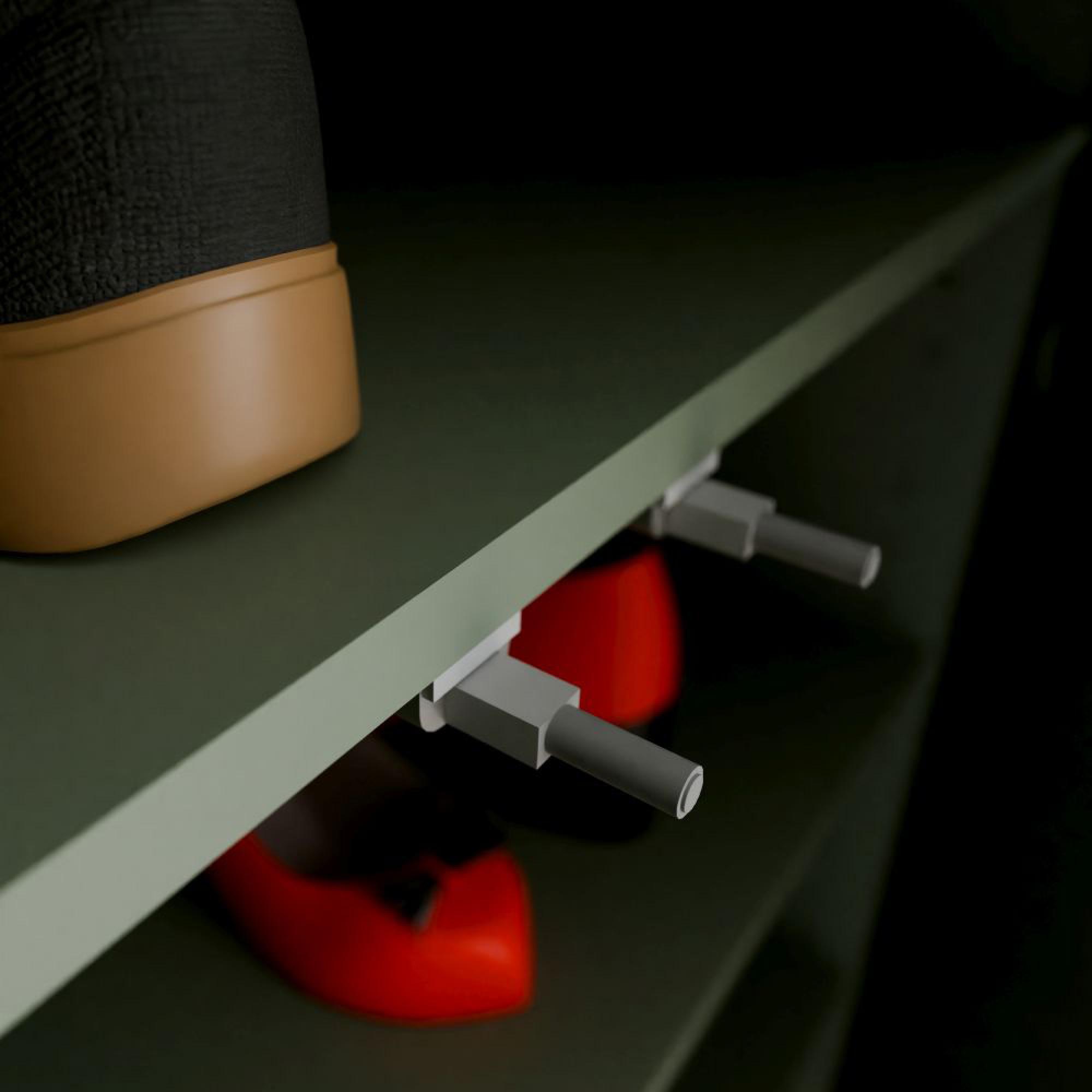 Alice Springs Shoe Cabinet - 2 Door - Sage Green