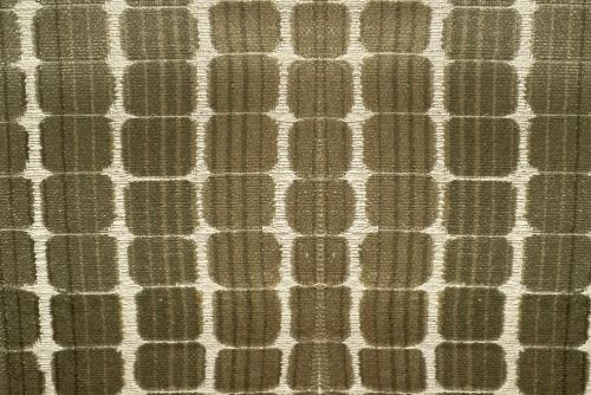 Band Superior : Sandro Olive