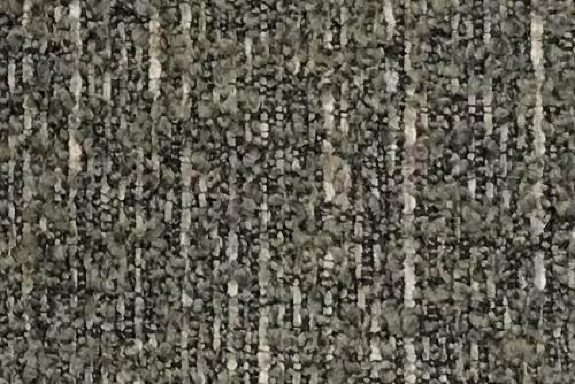 Plain : Danube Seaweed