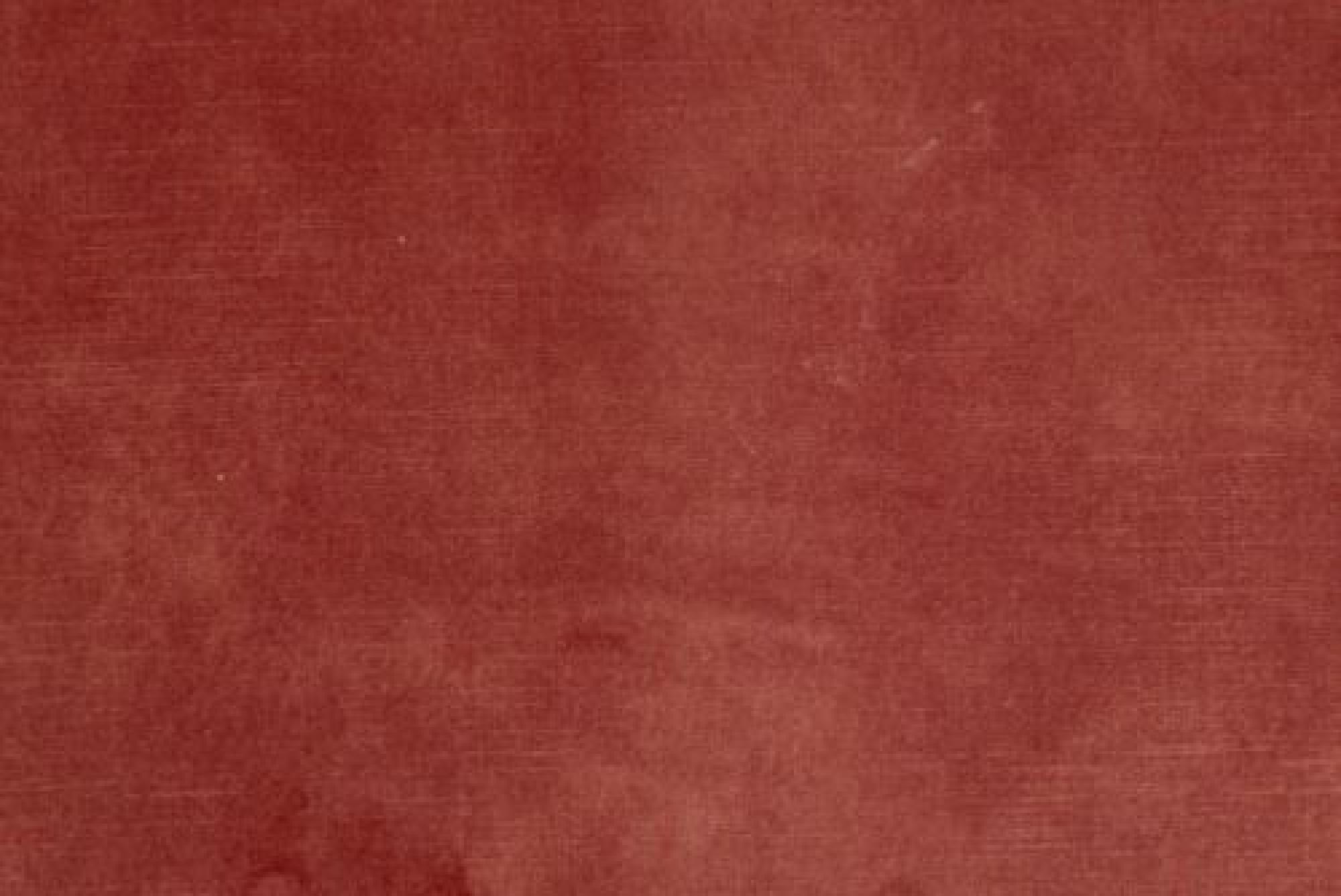 Band D : Sublime Flamingo