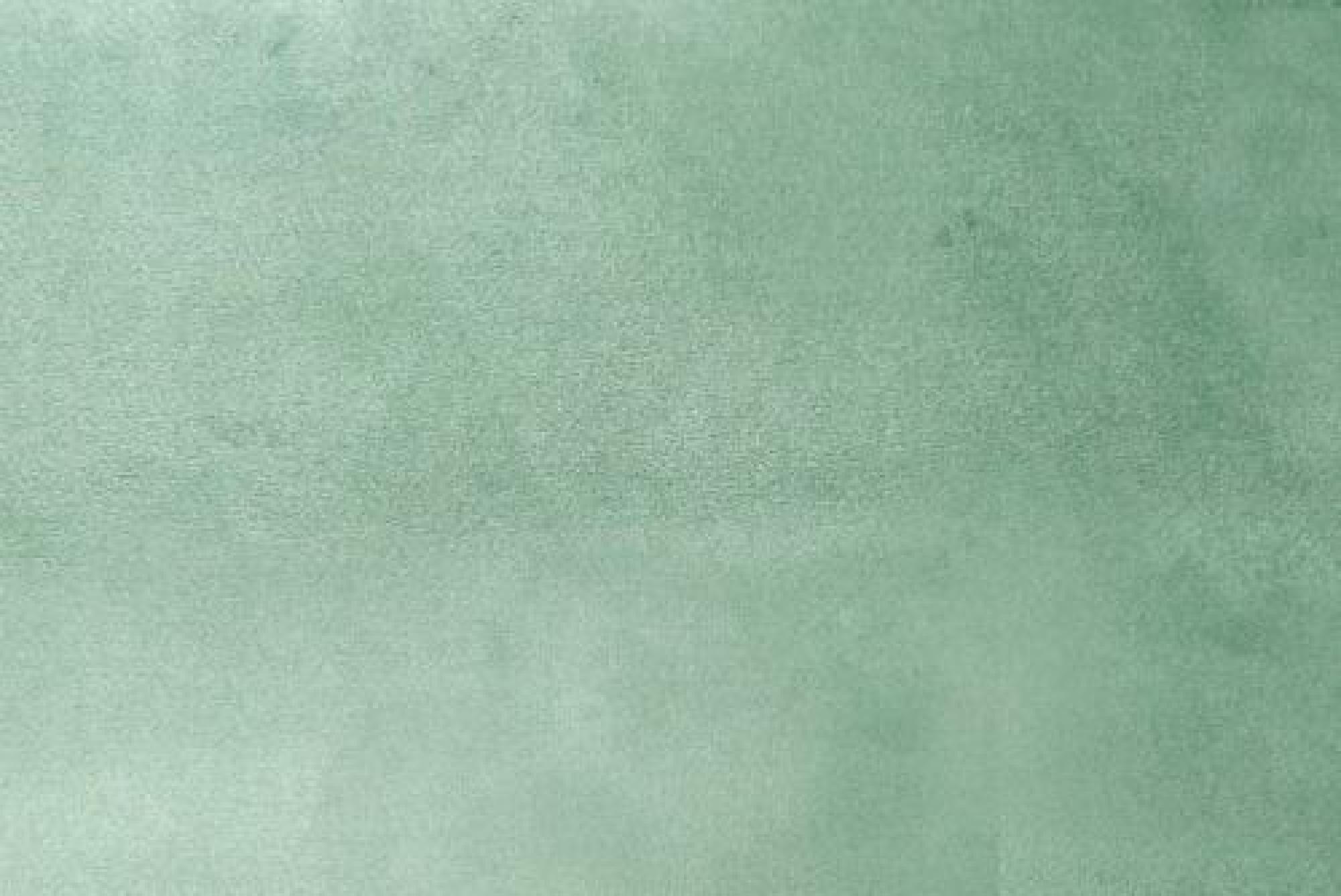 Band C : Festival Laurel