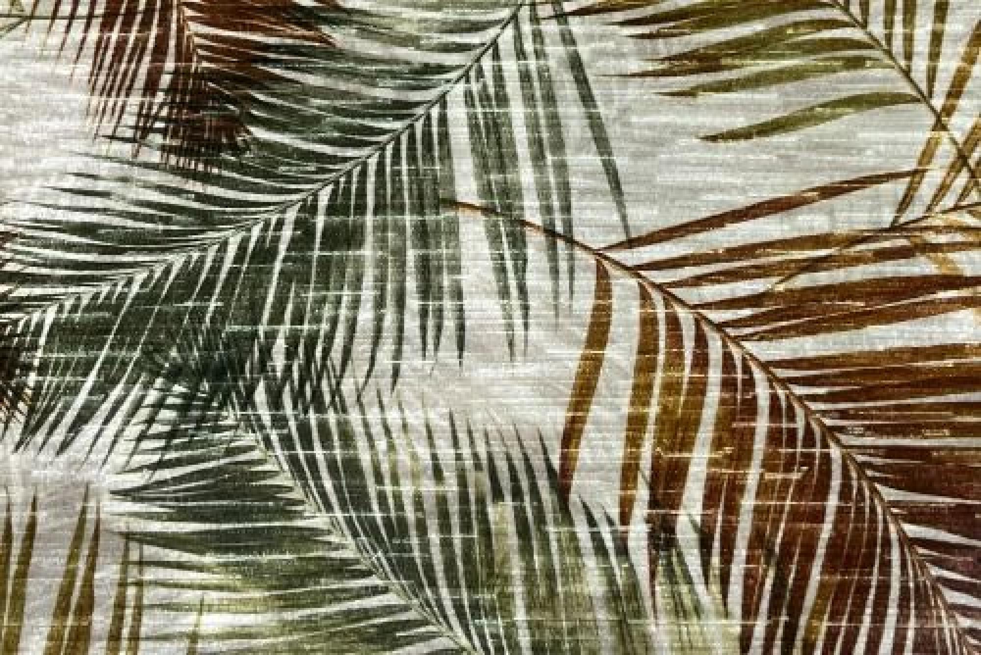 Band Deluxe : Amazon Autumn