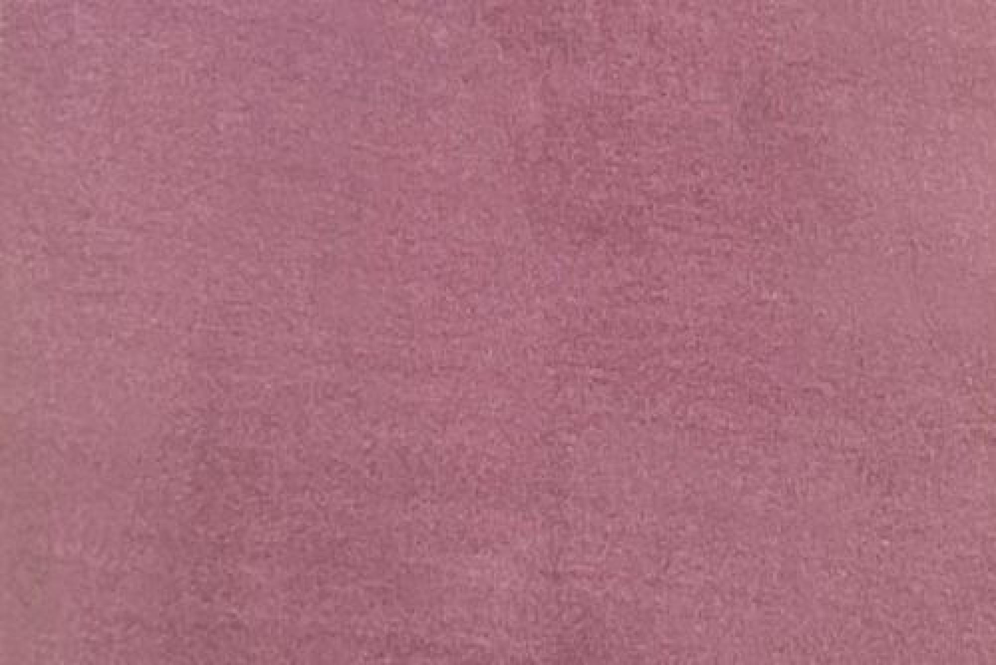 Band Plain : Duke Lavender