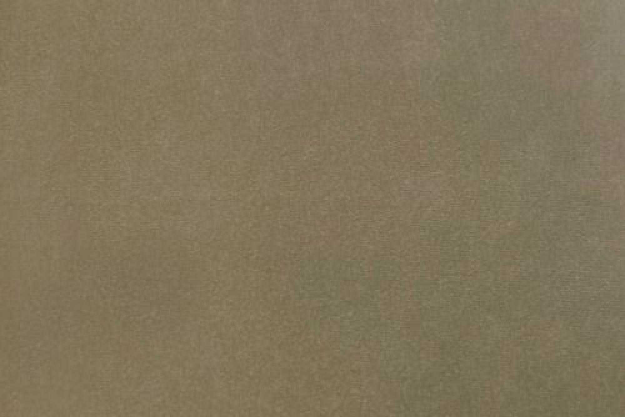 Band D : Regent Mink