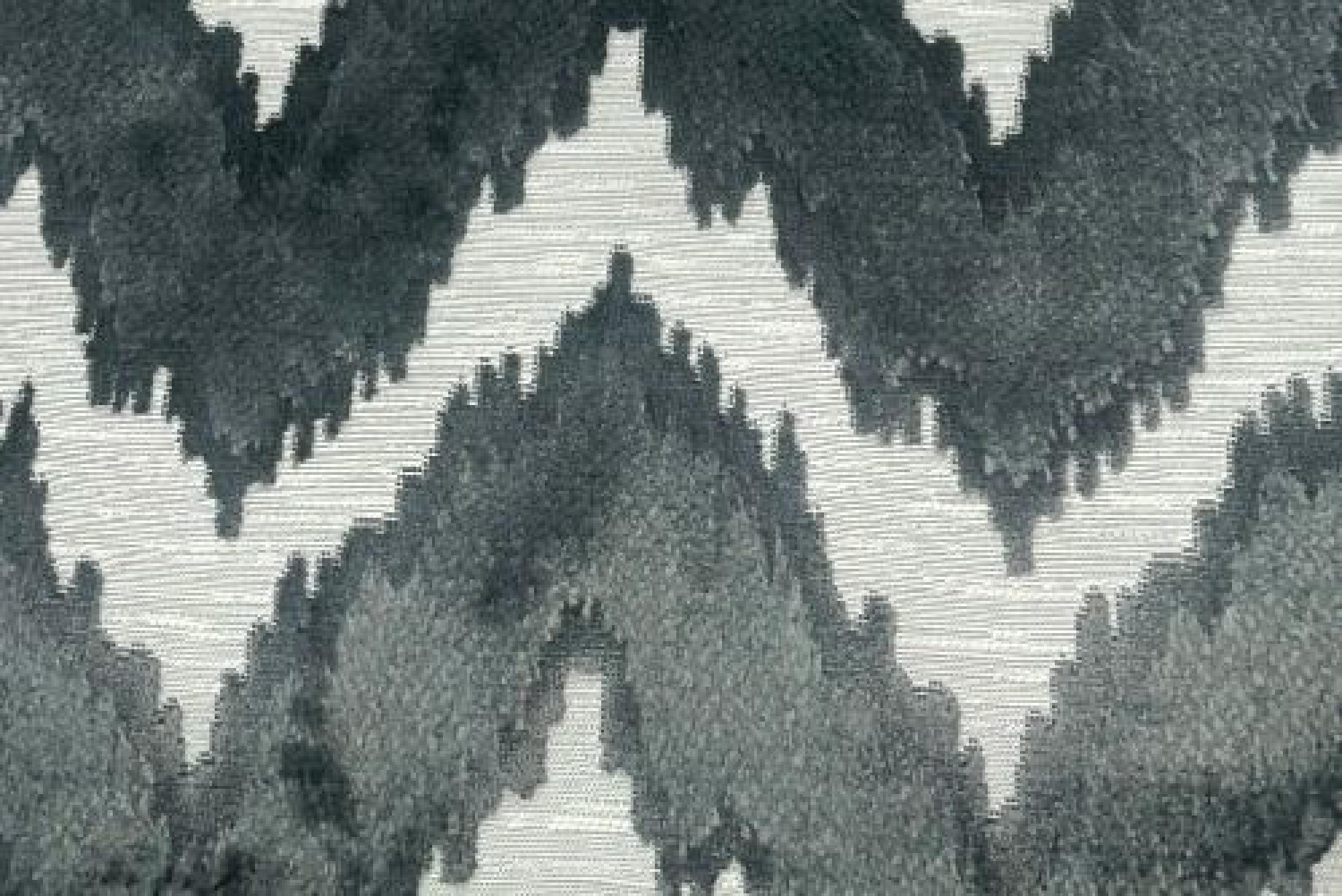 Superior Band : Vera Anthracite