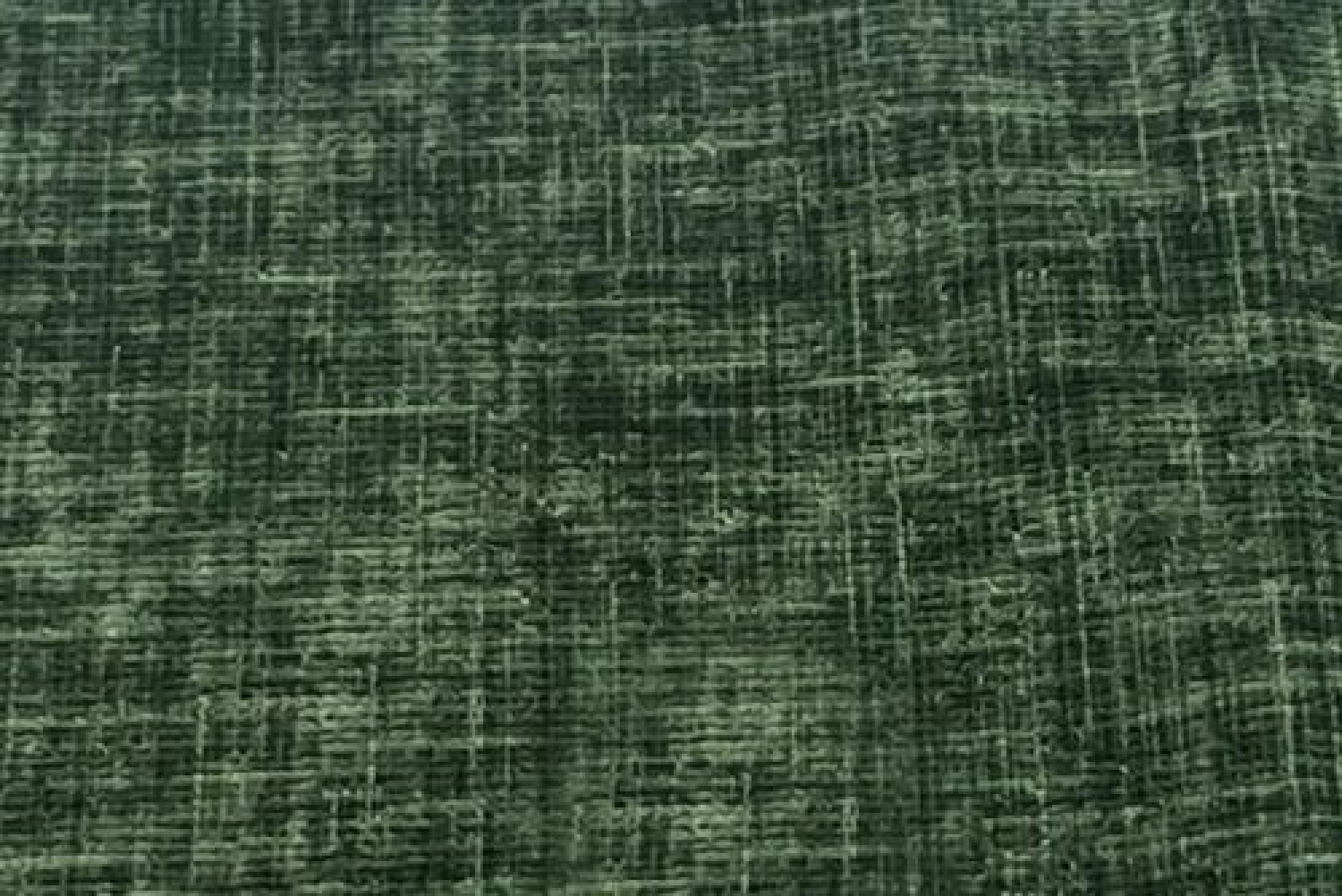 Band D : Blakely Moss