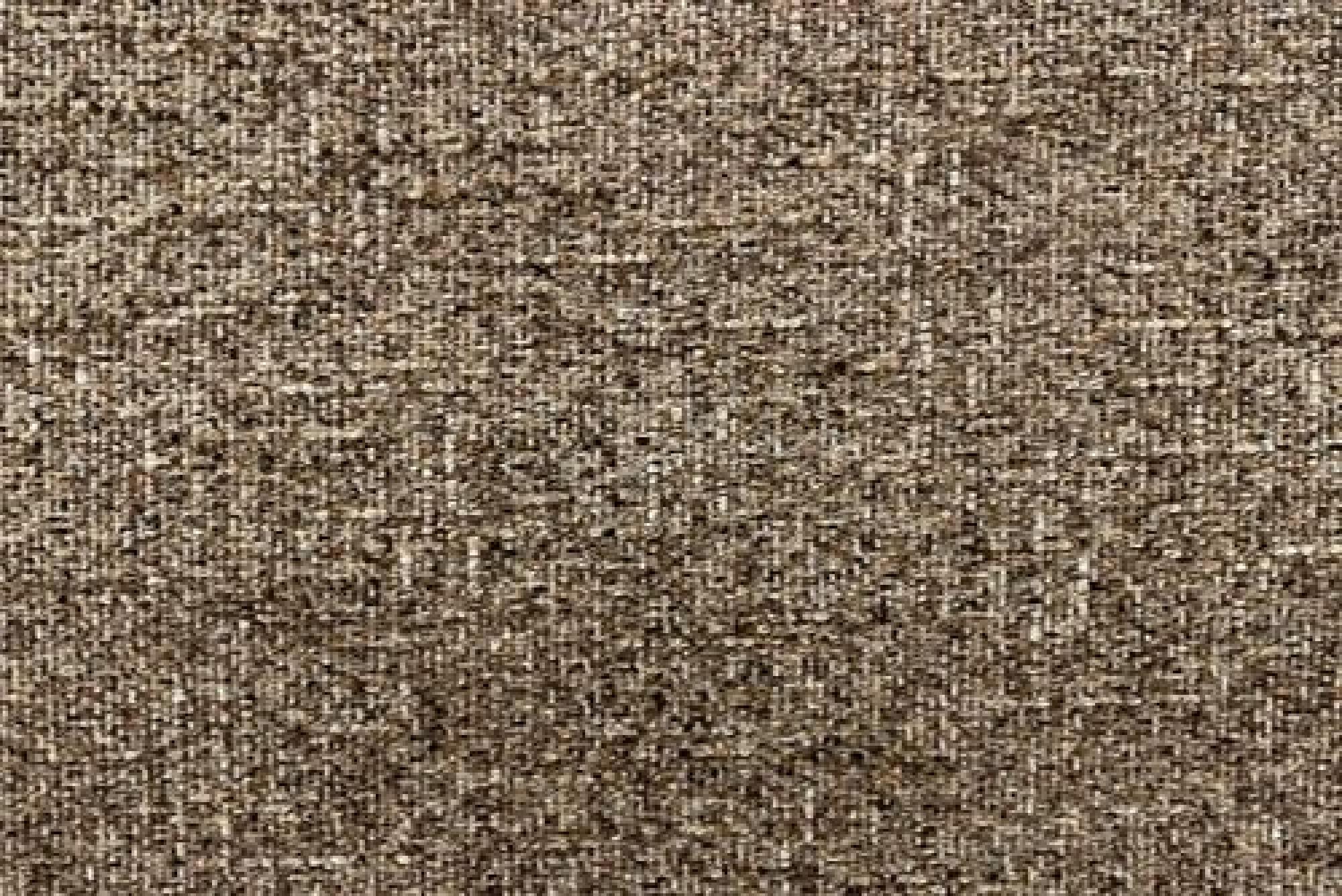 Band D : Adonis Taupe