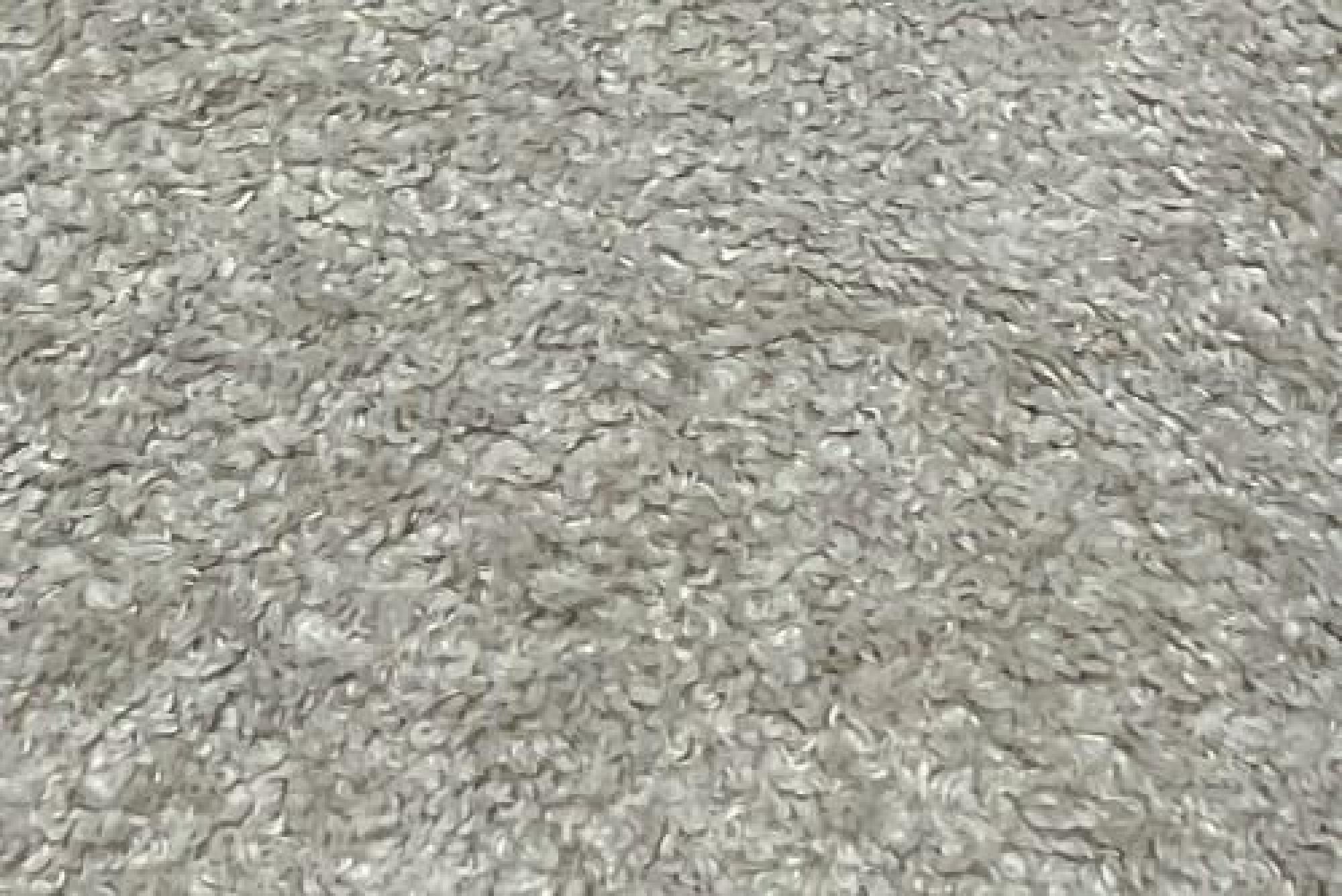 Band Deluxe : Larry Latte