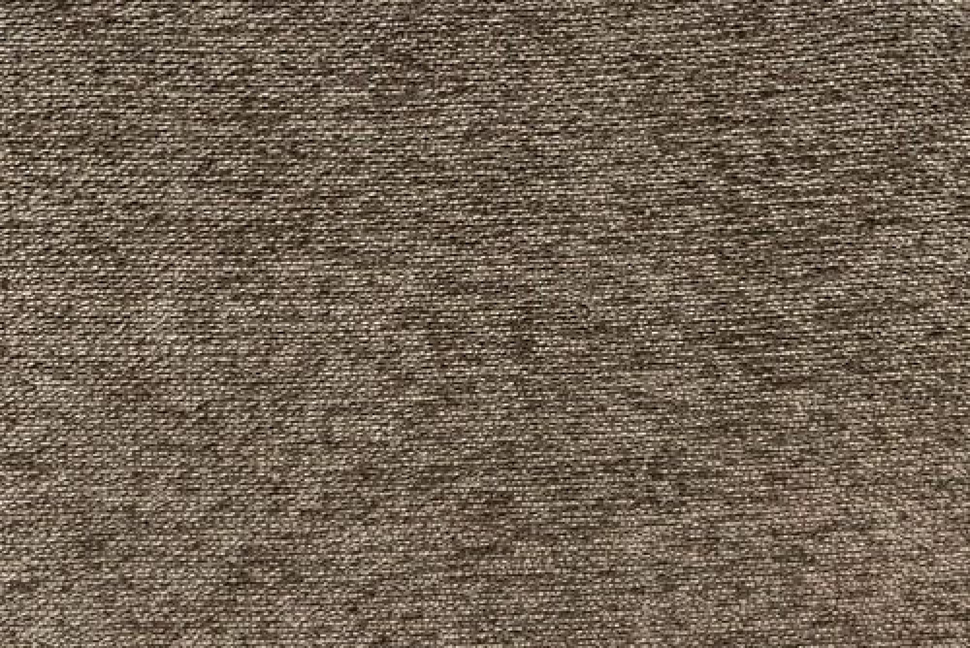 Band D : Leo Truffle