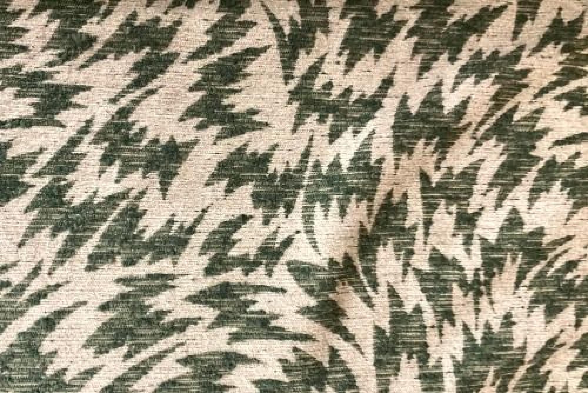 Band Deluxe : Otto Moss