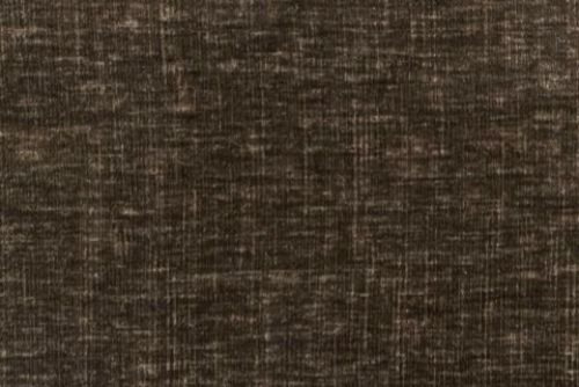 Band D : Dion Driftwood