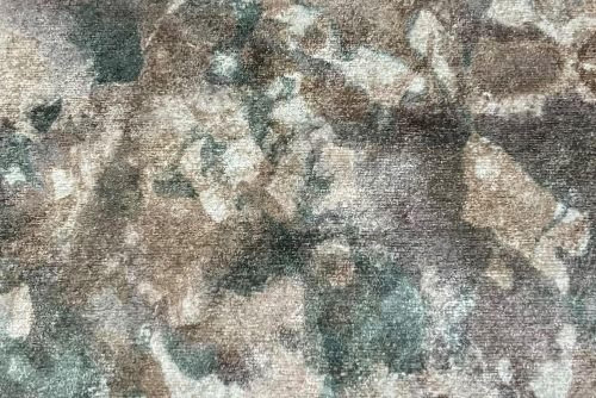 Band Deluxe : Asra Earth