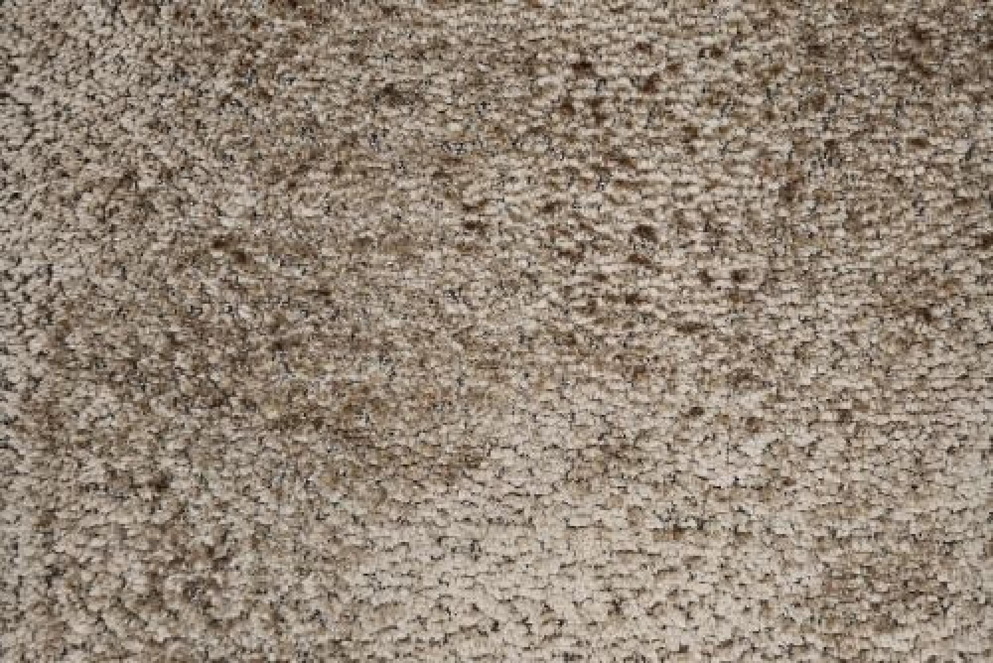 Plain : Jace Biscuit