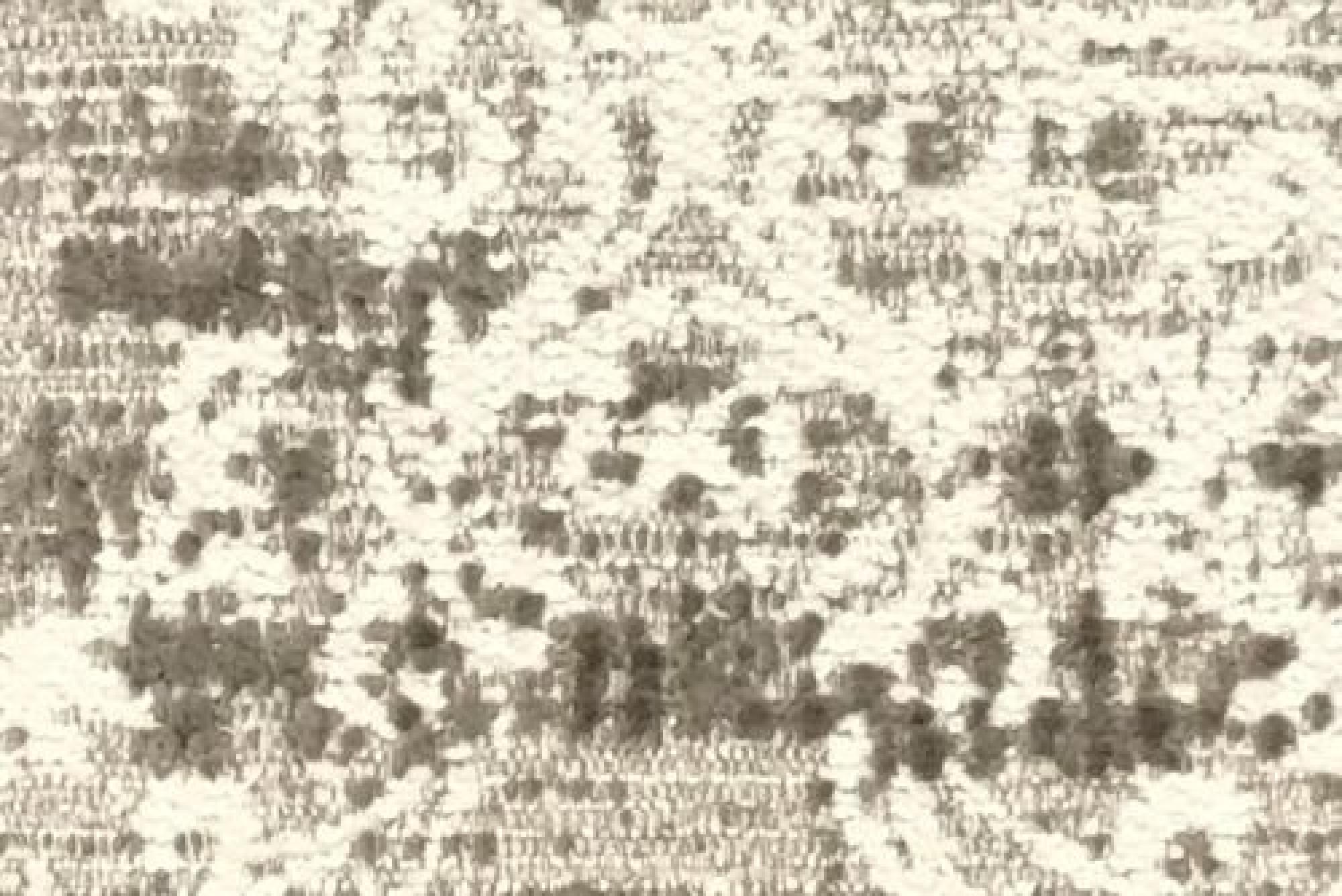 Deluxe : Craven Truffle