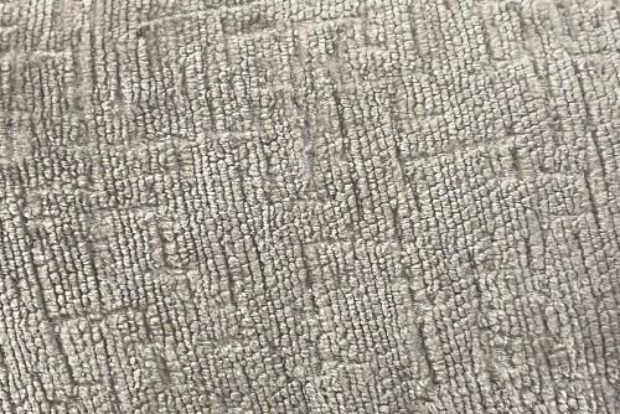 Band D : Titus Truffle