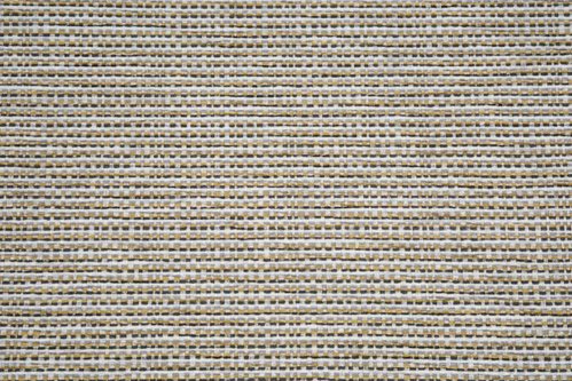 Band B : Ashton Mustard