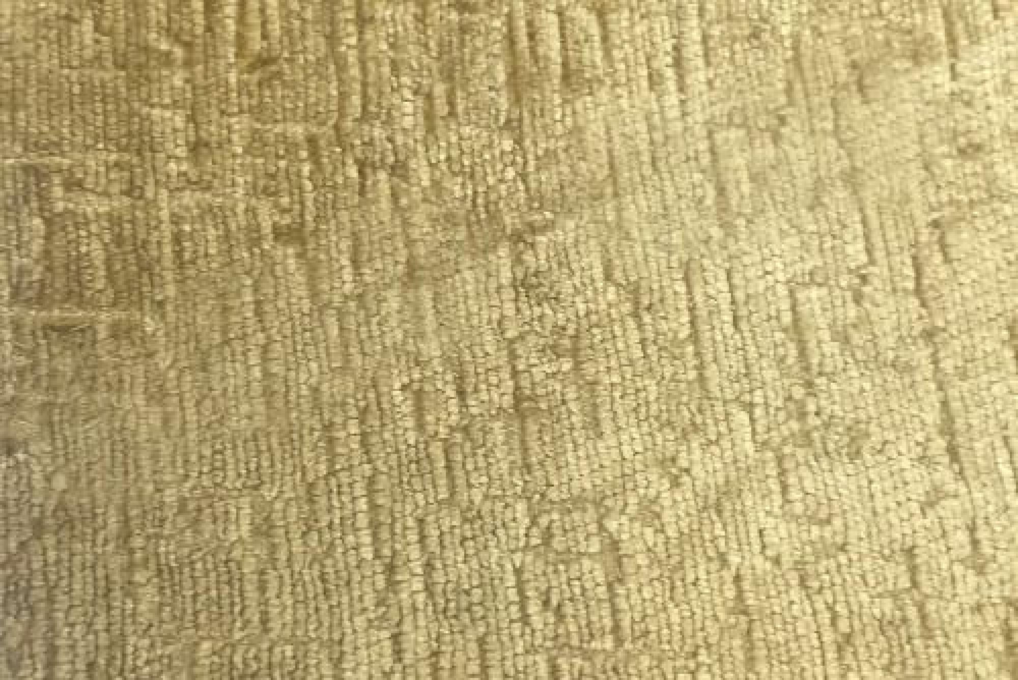 Band D : Titus Bronze