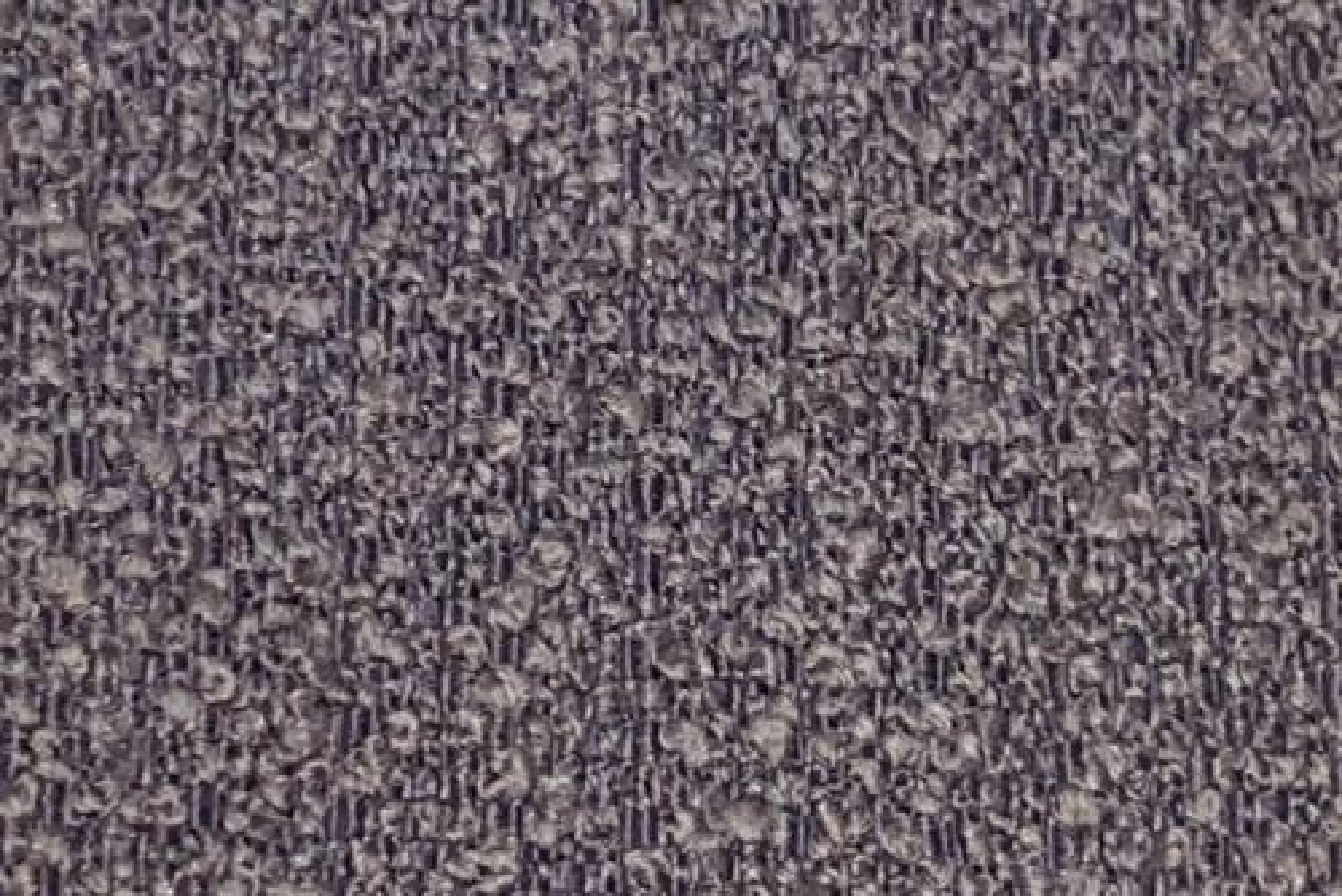 Band E : Berlin Nutmeg