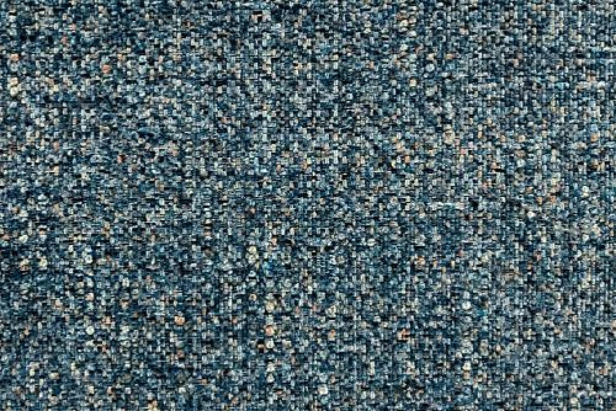 Band D : Adonis Midnight