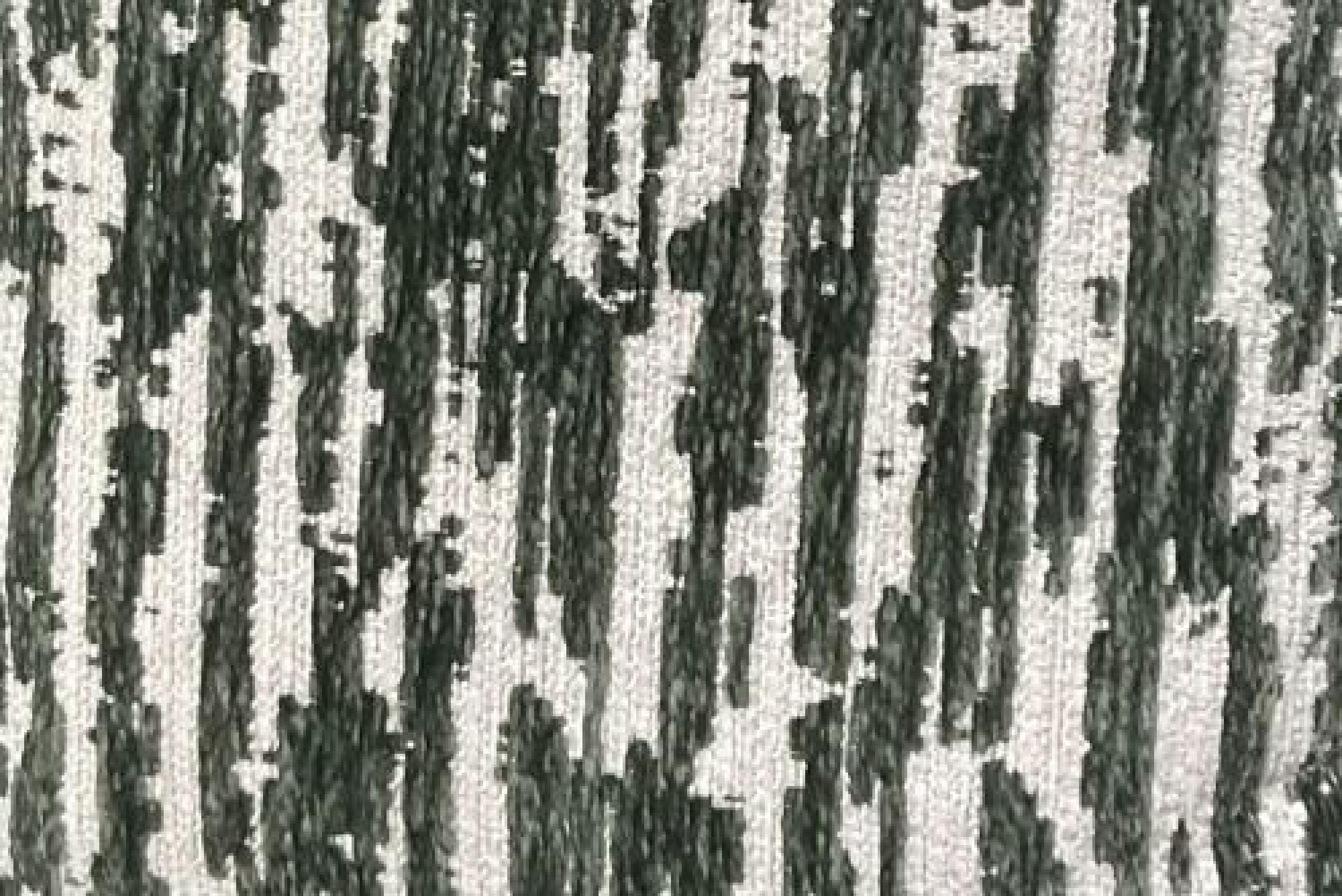 Band Superior : Brassan Forest