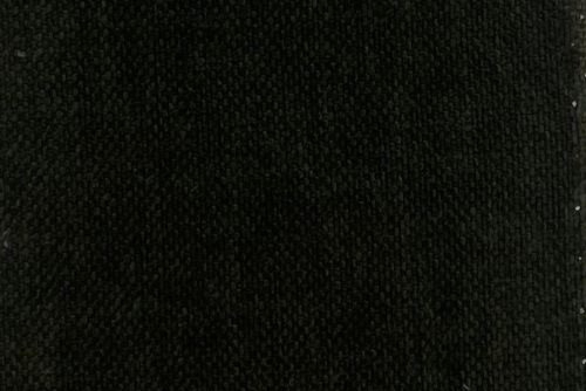 Band D : Garda Seaweed