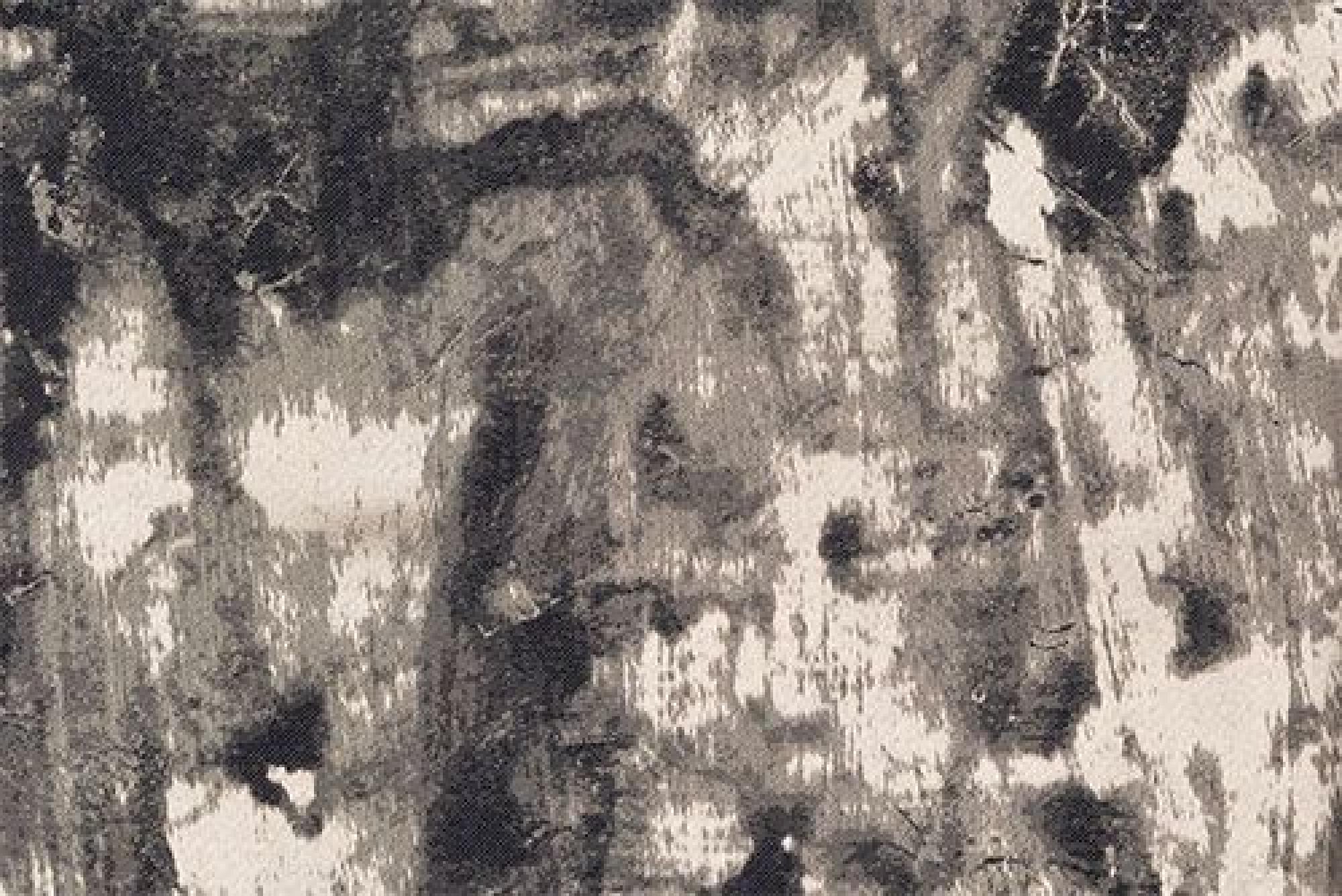 Band Deluxe : Tessere Gold