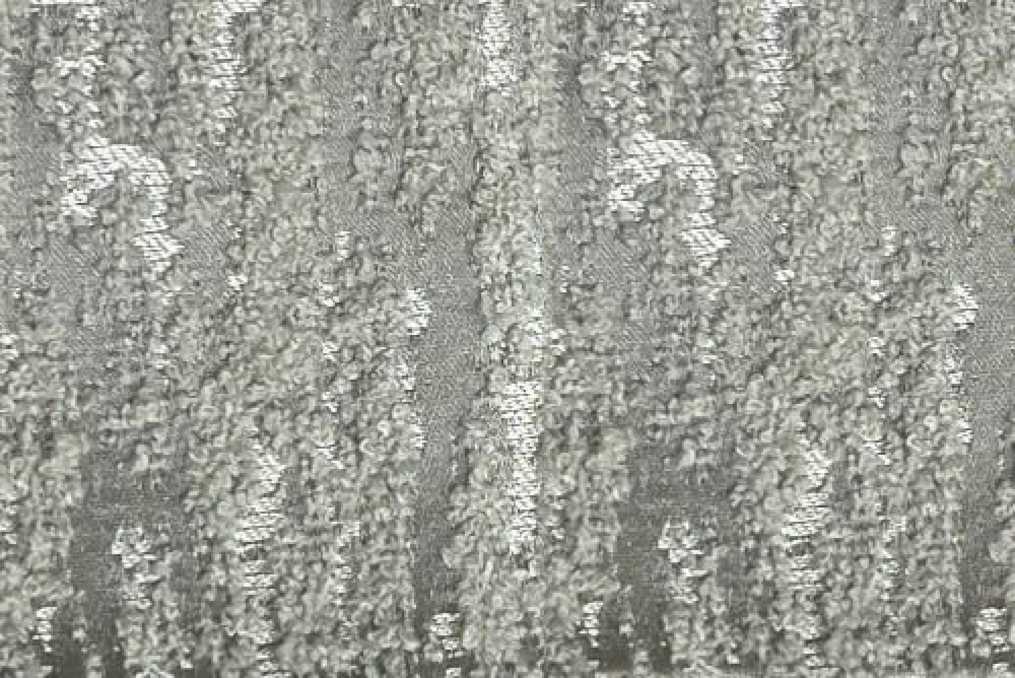 Band Deluxe : Palmer Truffle