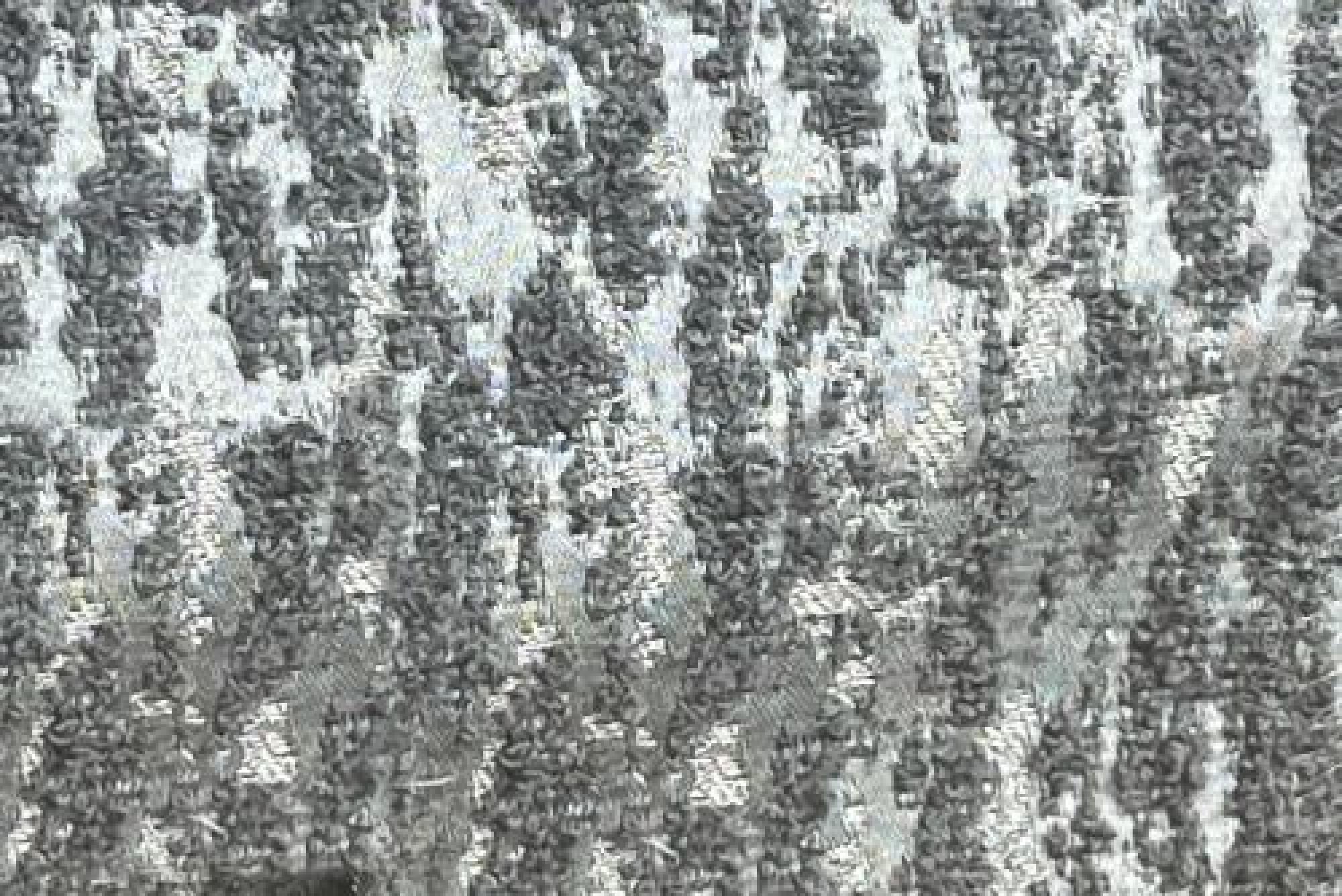 Band Deluxe : Palmer Silver