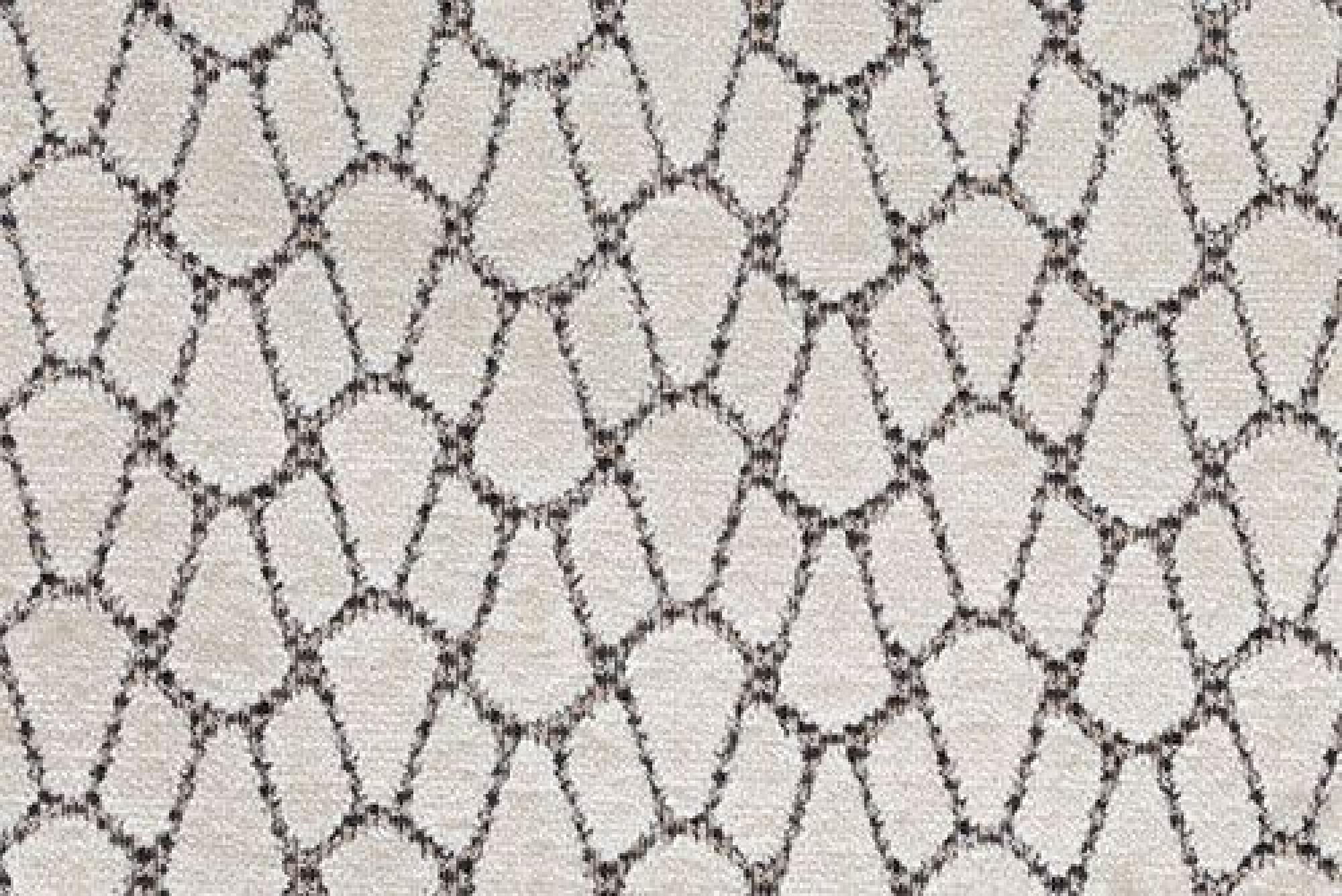 Band Pattern : Artemis Cream