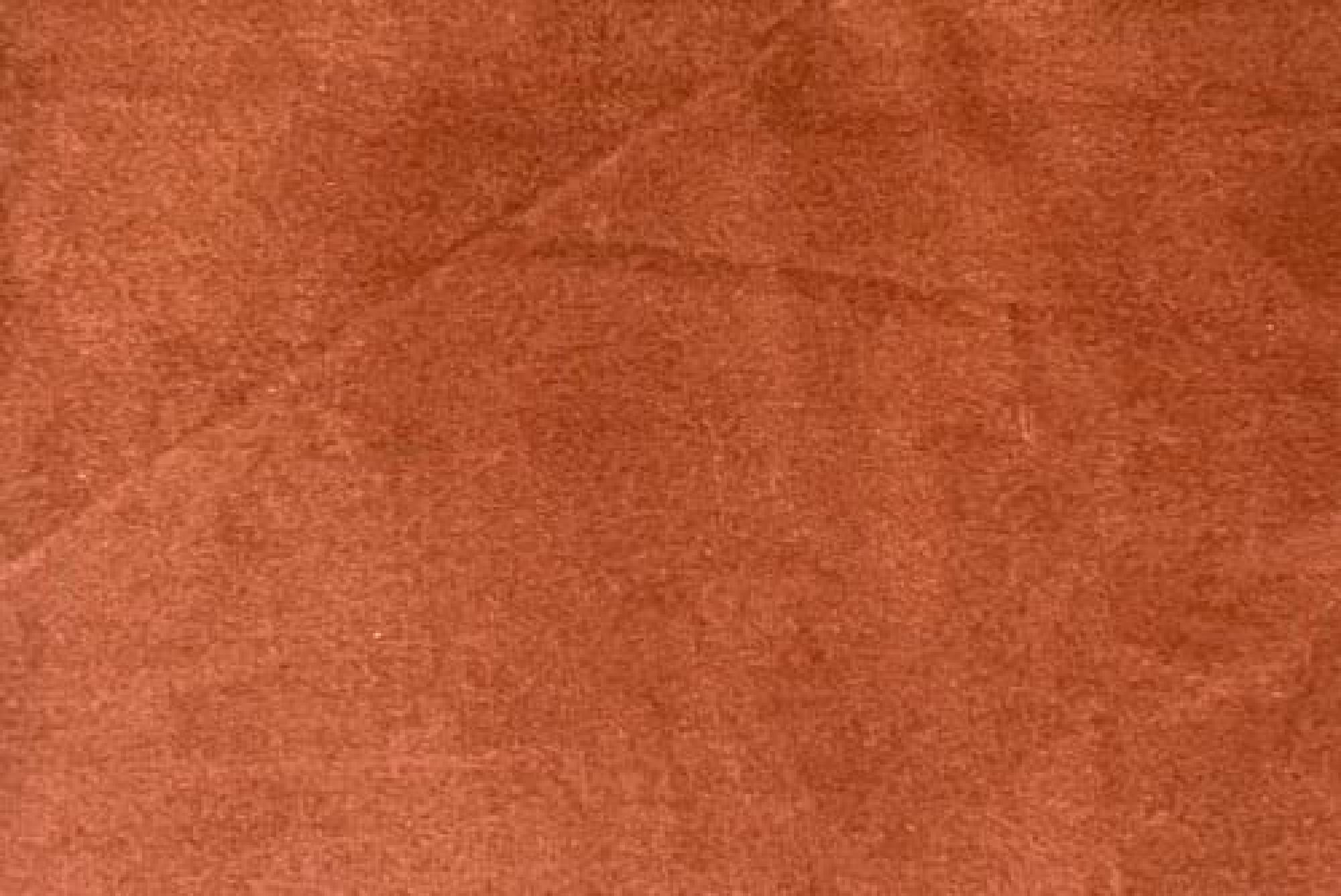 Band Plain : Festival Marmalade