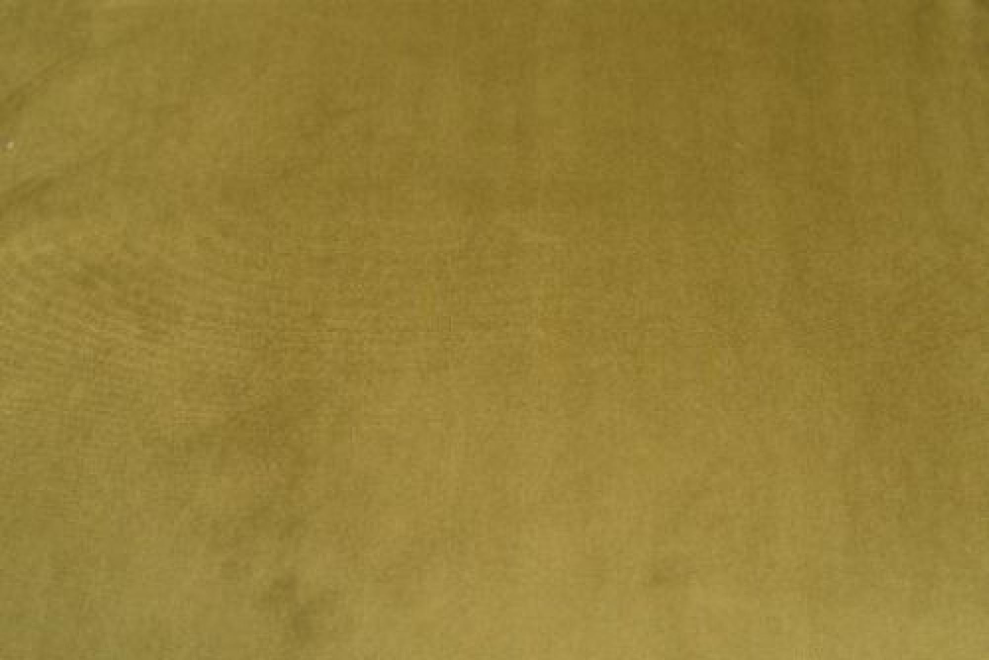 Band Plain : Festival Olive