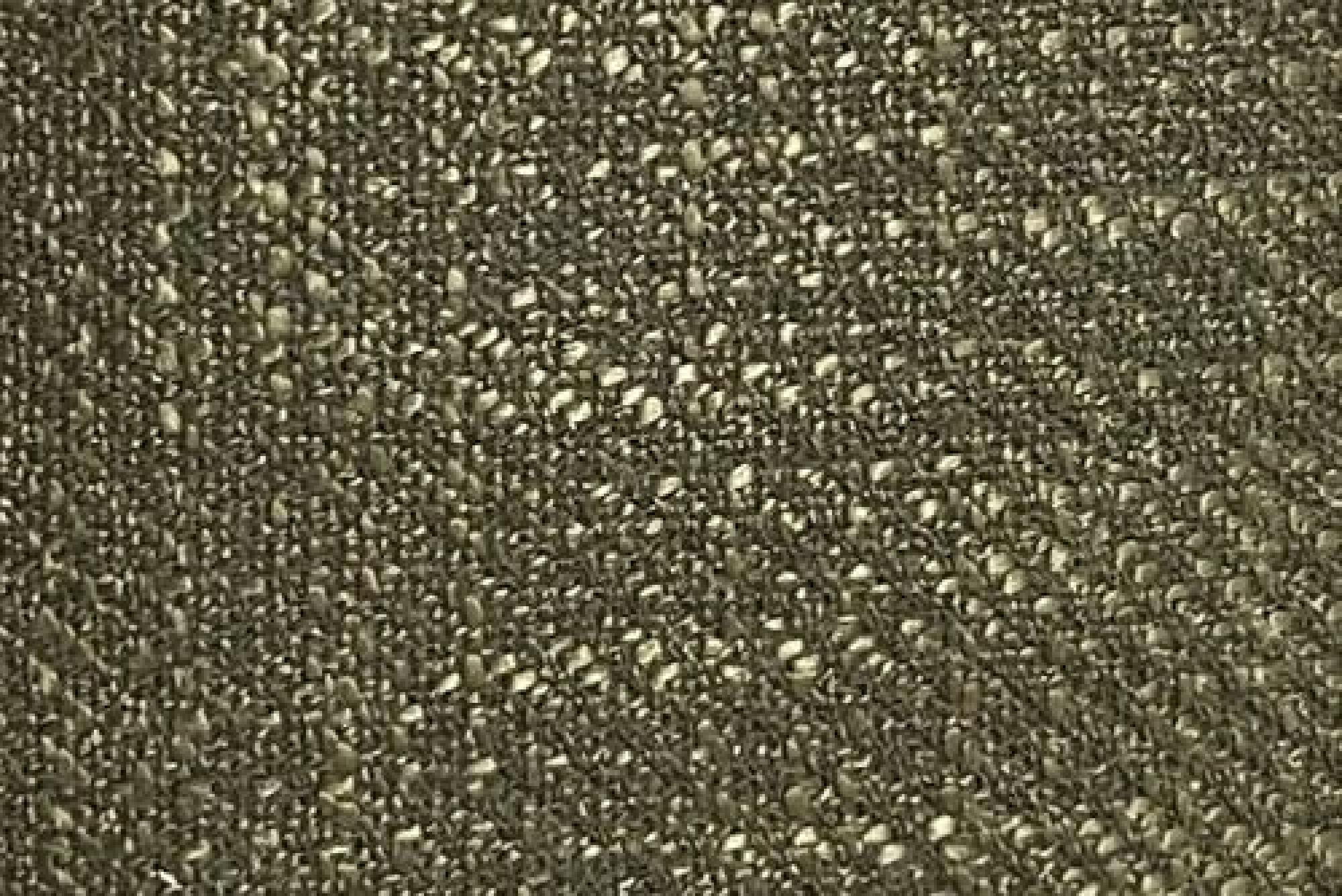 Band D : Polly Olive